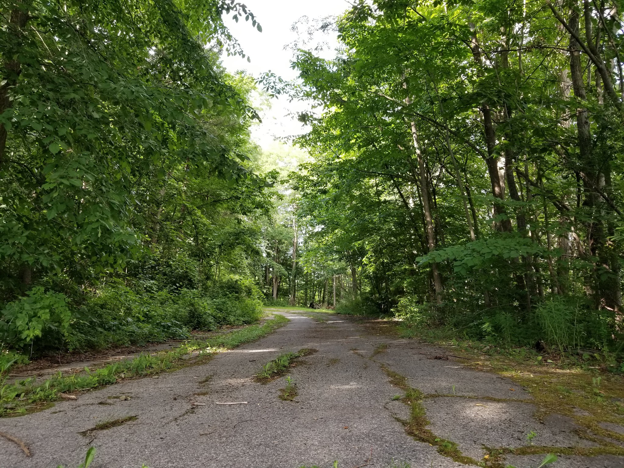 Max V. Shaul State Park