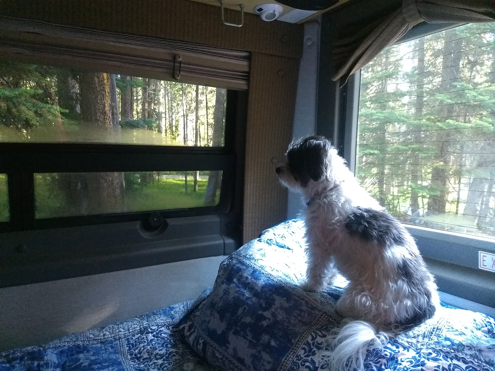 May Creek Campground