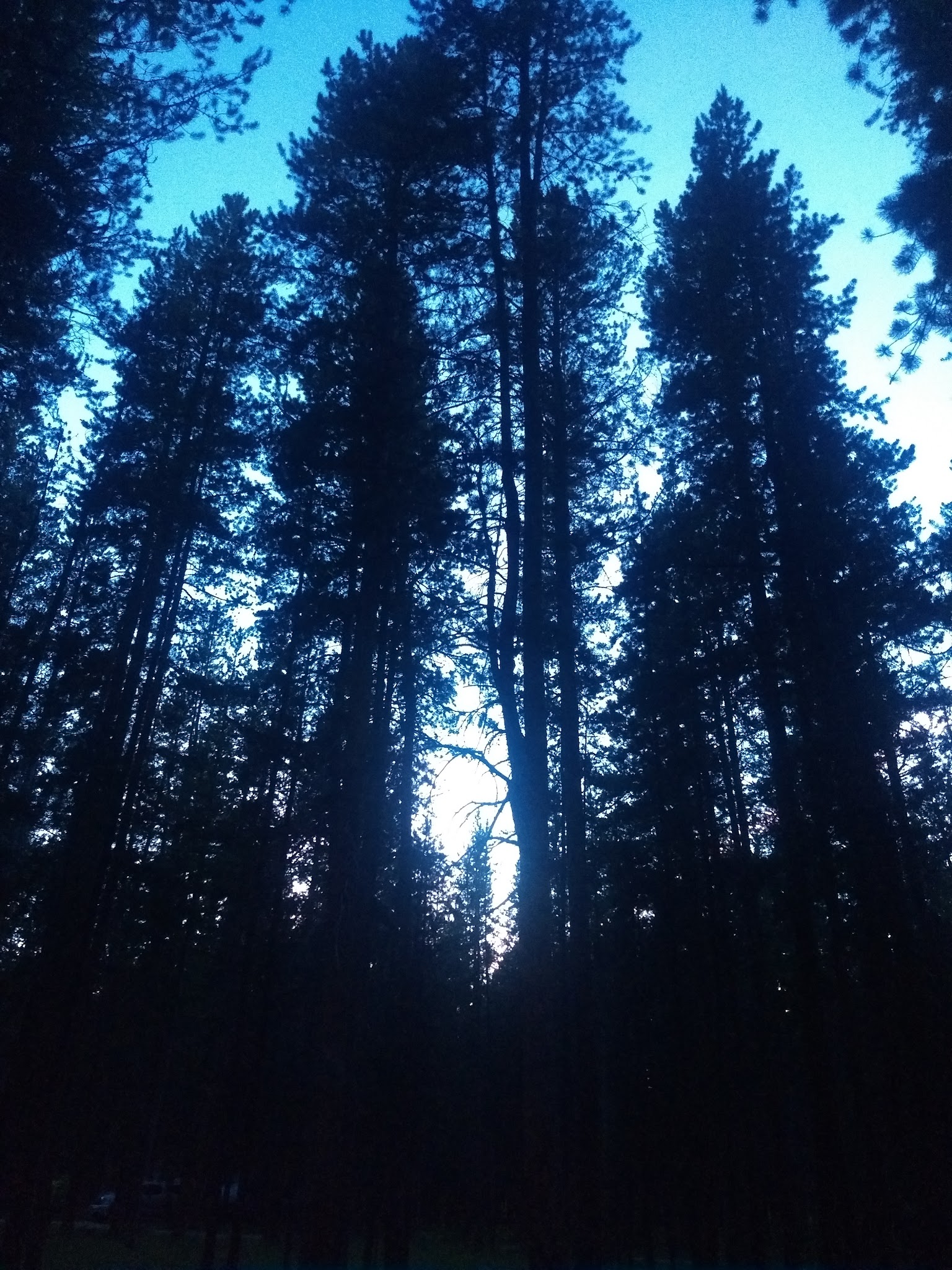 May Creek Campground