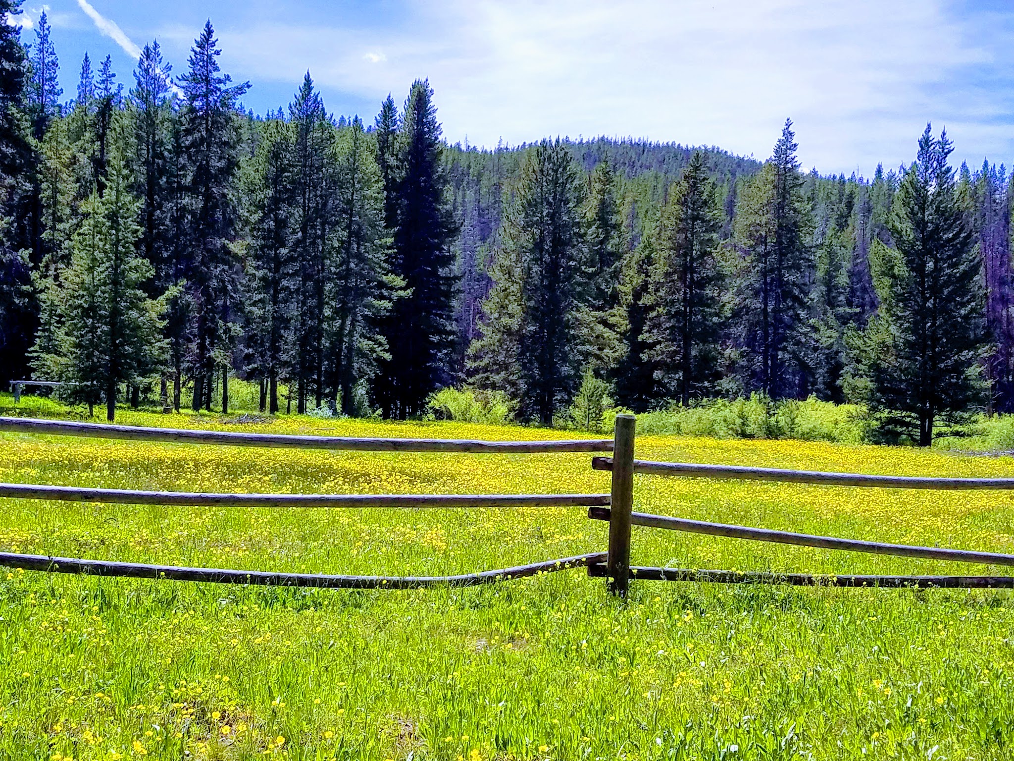 May Creek Campground