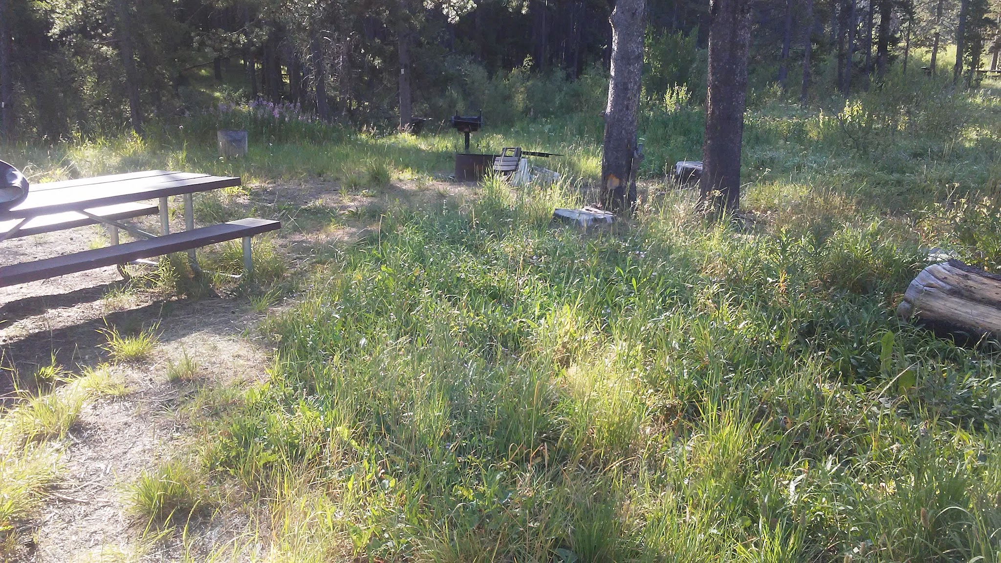 May Creek Campground