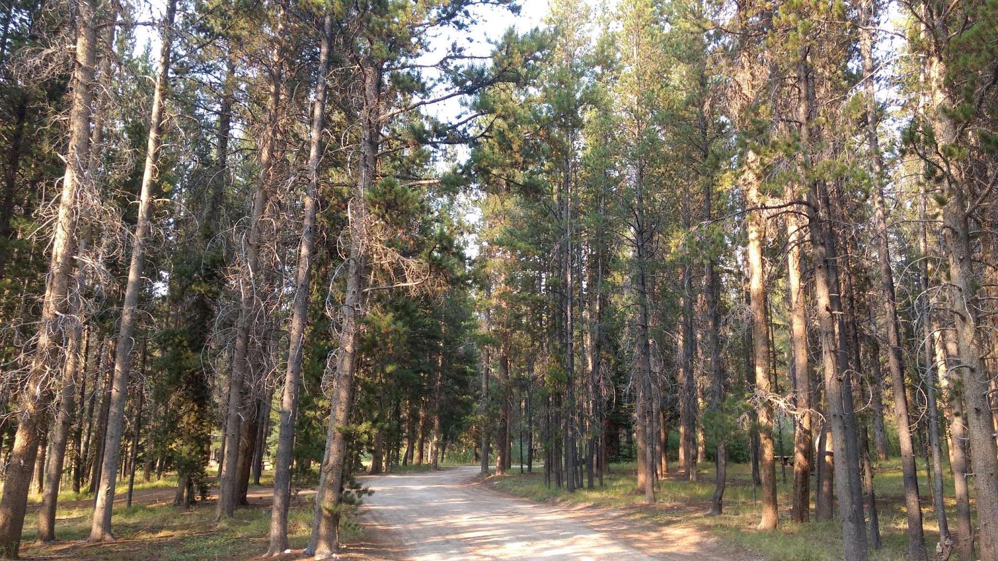 May Creek Campground