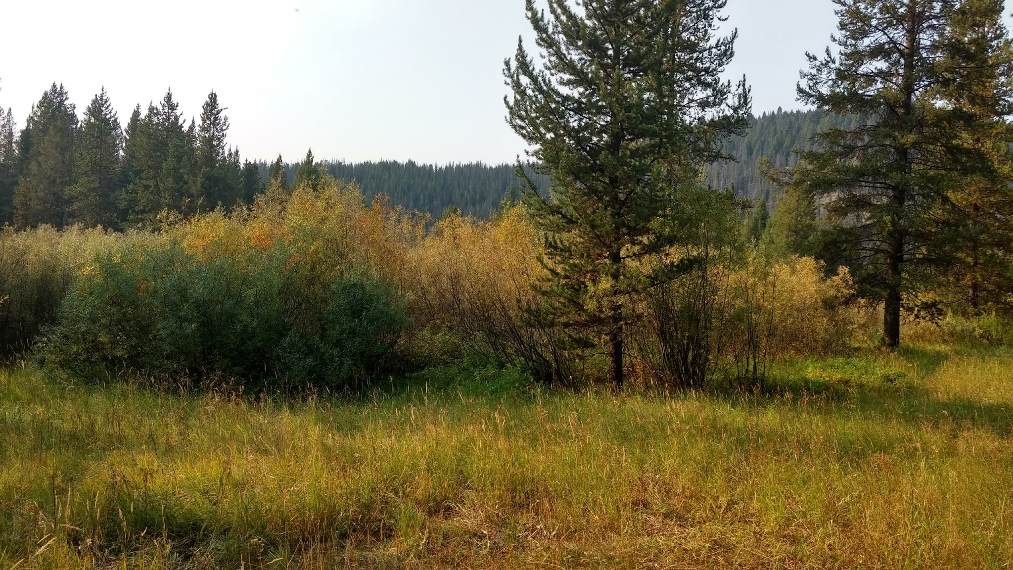 May Creek Campground