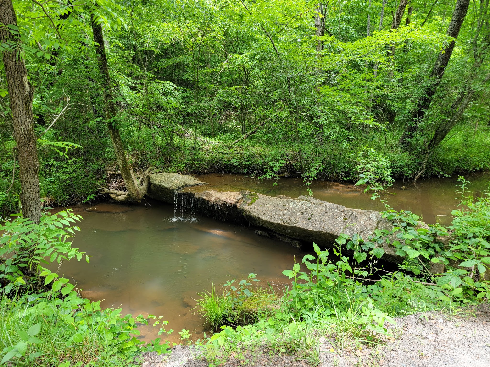 Mayo River State Park