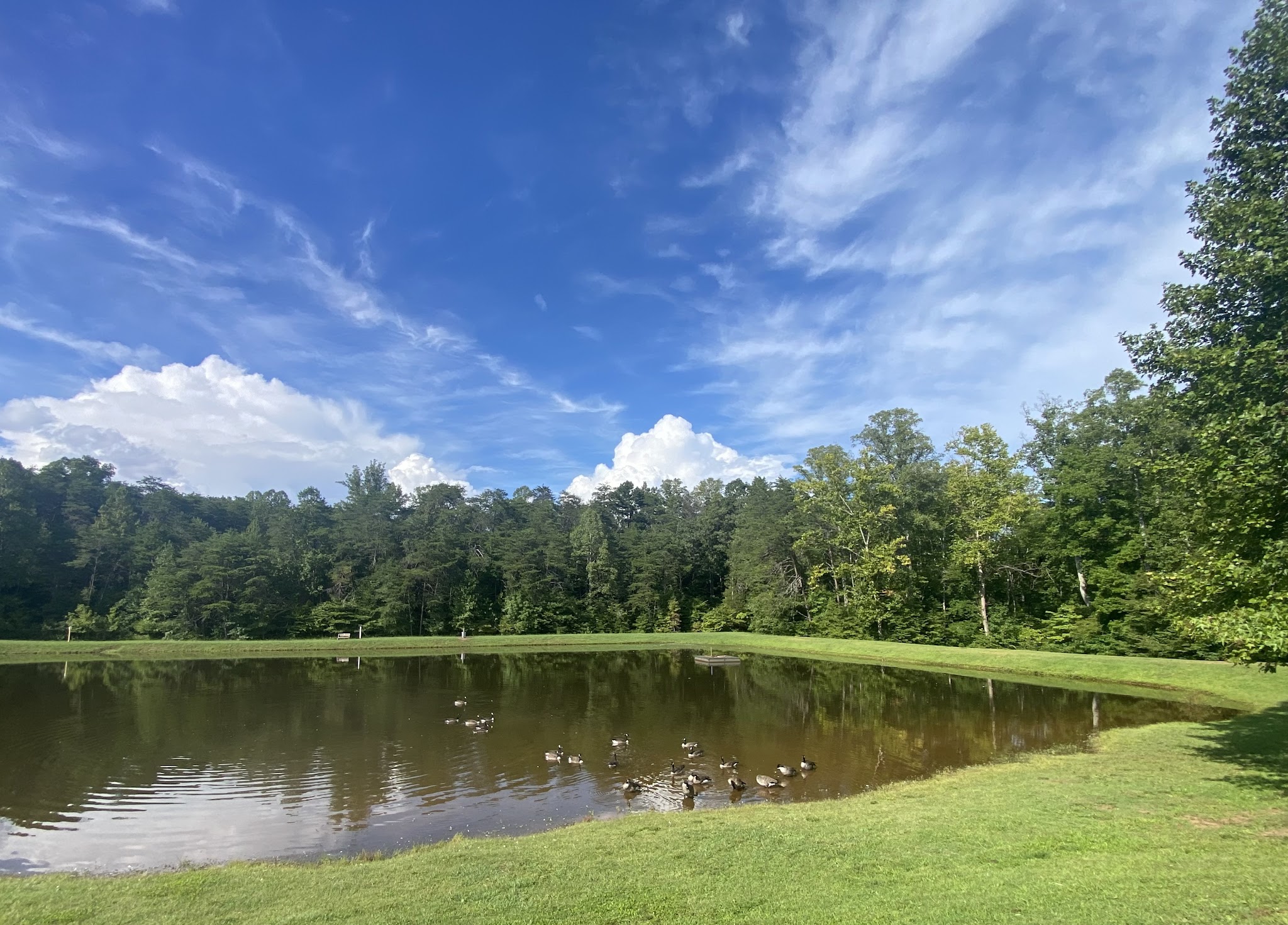 Mayo River State Park