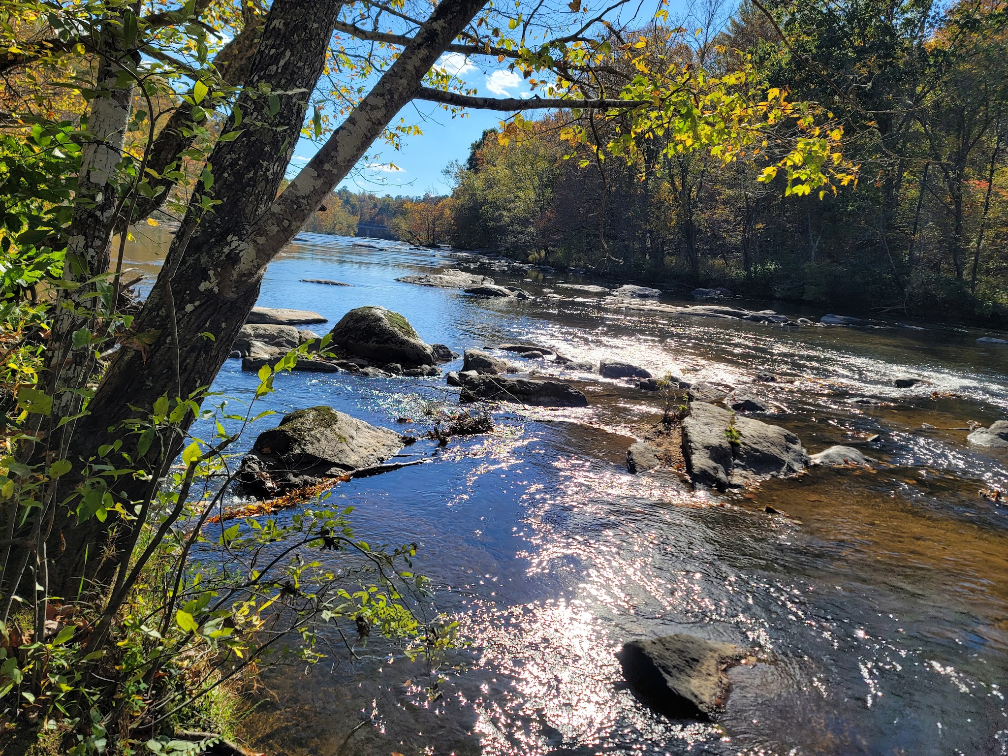 Mayo River State Park