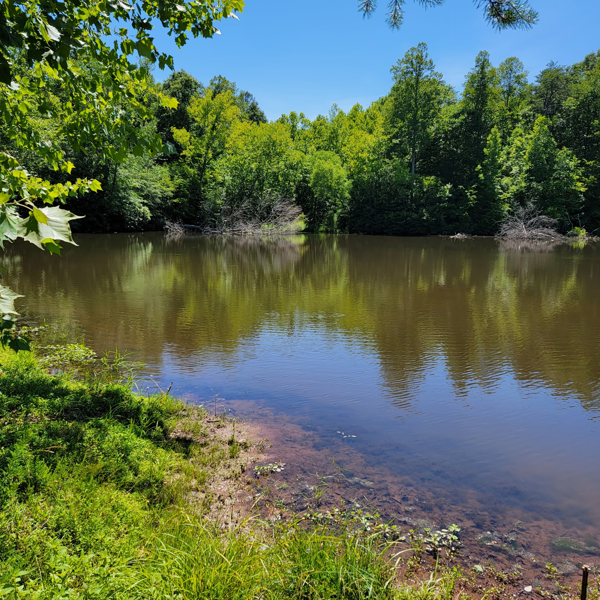Mayo River State Park