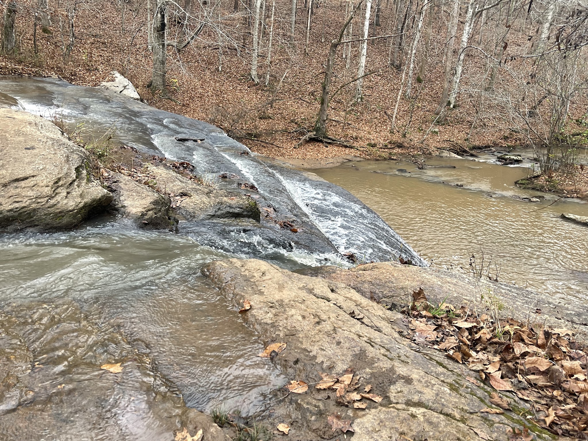 Mayo River State Park