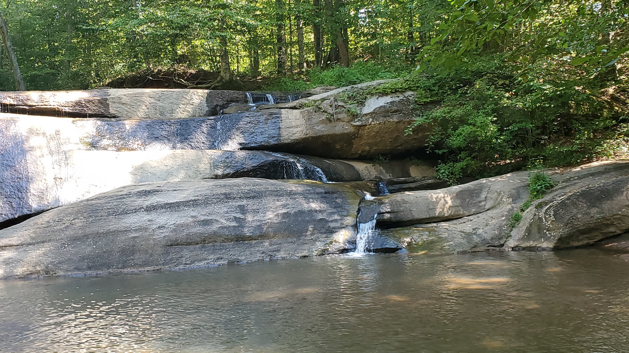 Mayo River State Park
