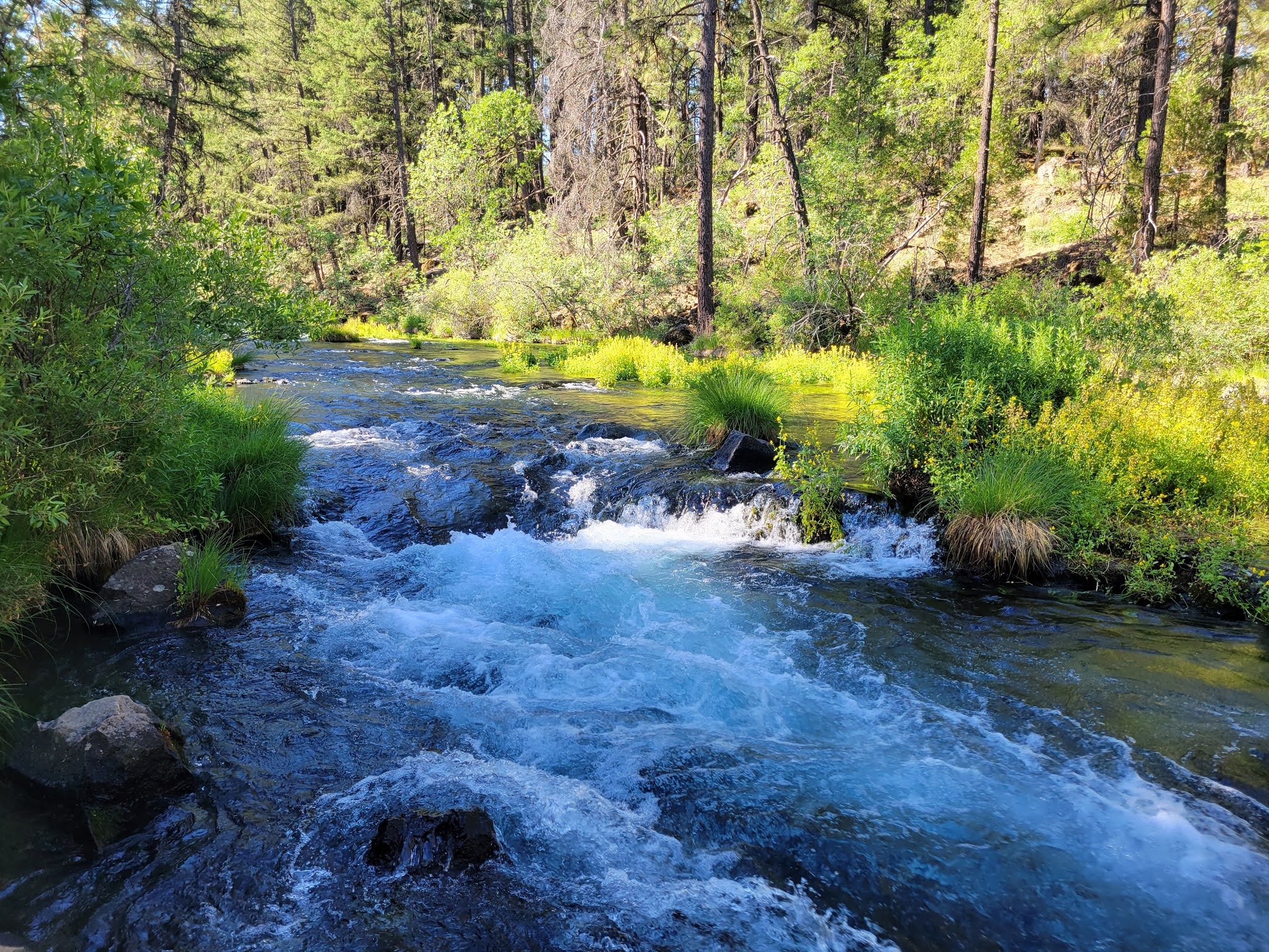 Headwaters Campground