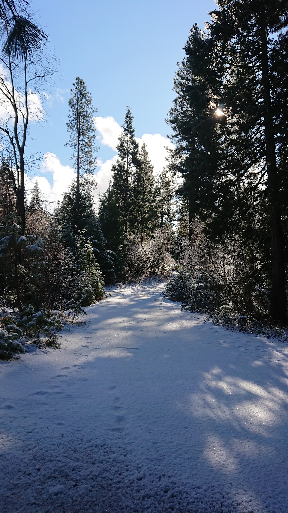 Mcbride Springs Campground
