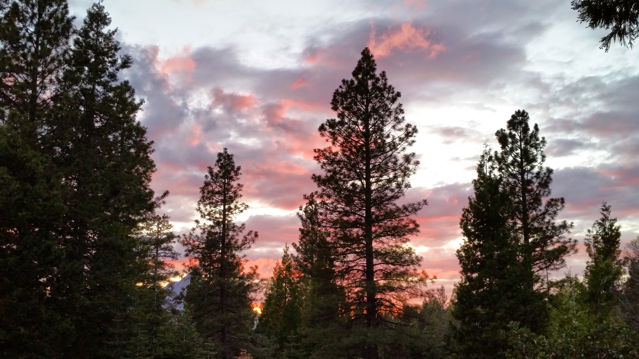 Mcbride Springs Campground