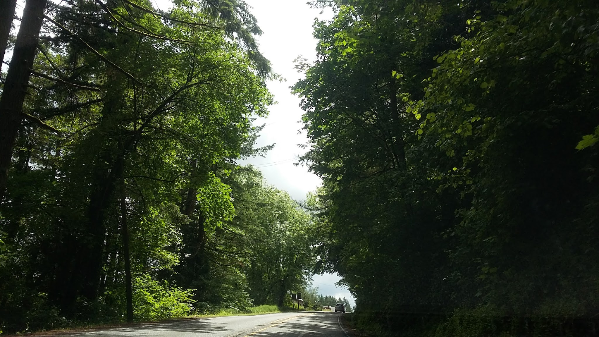 Mccarthy Creek Natural Crup Campground