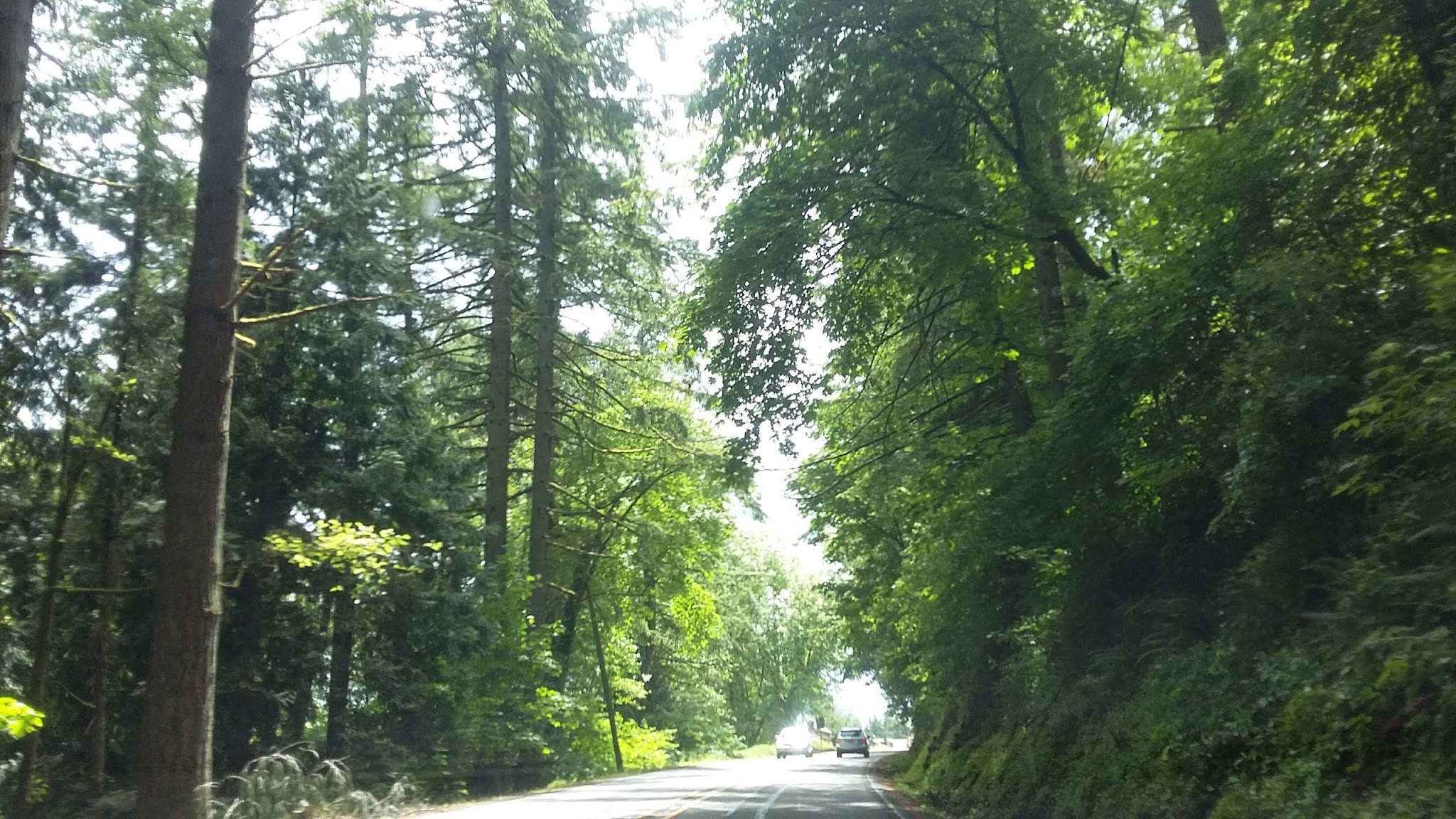 Mccarthy Creek Natural Crup Campground