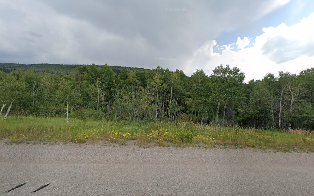 Mcclure Campground - Paonia Rd