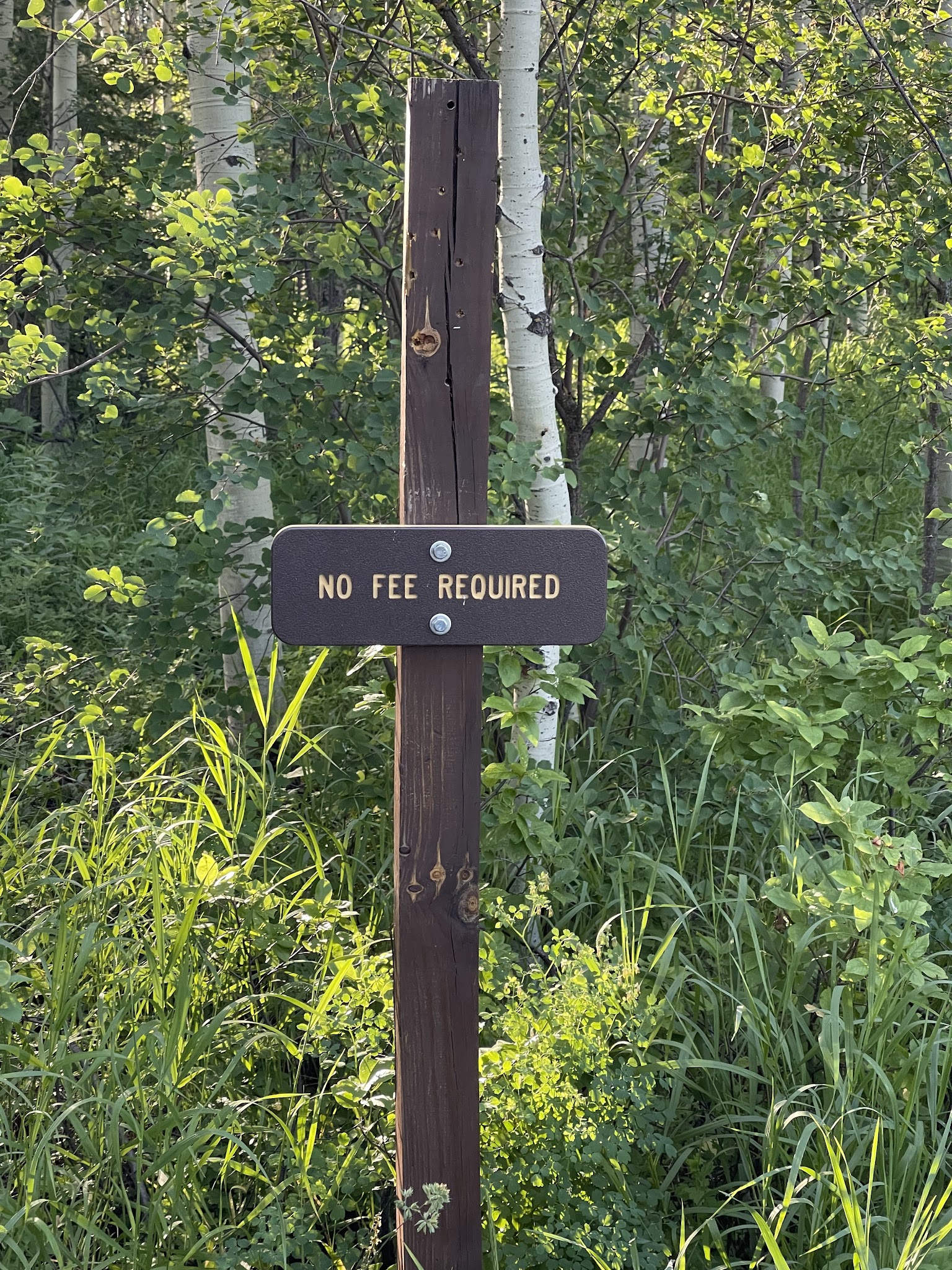 Mcclure Campground - Paonia Rd