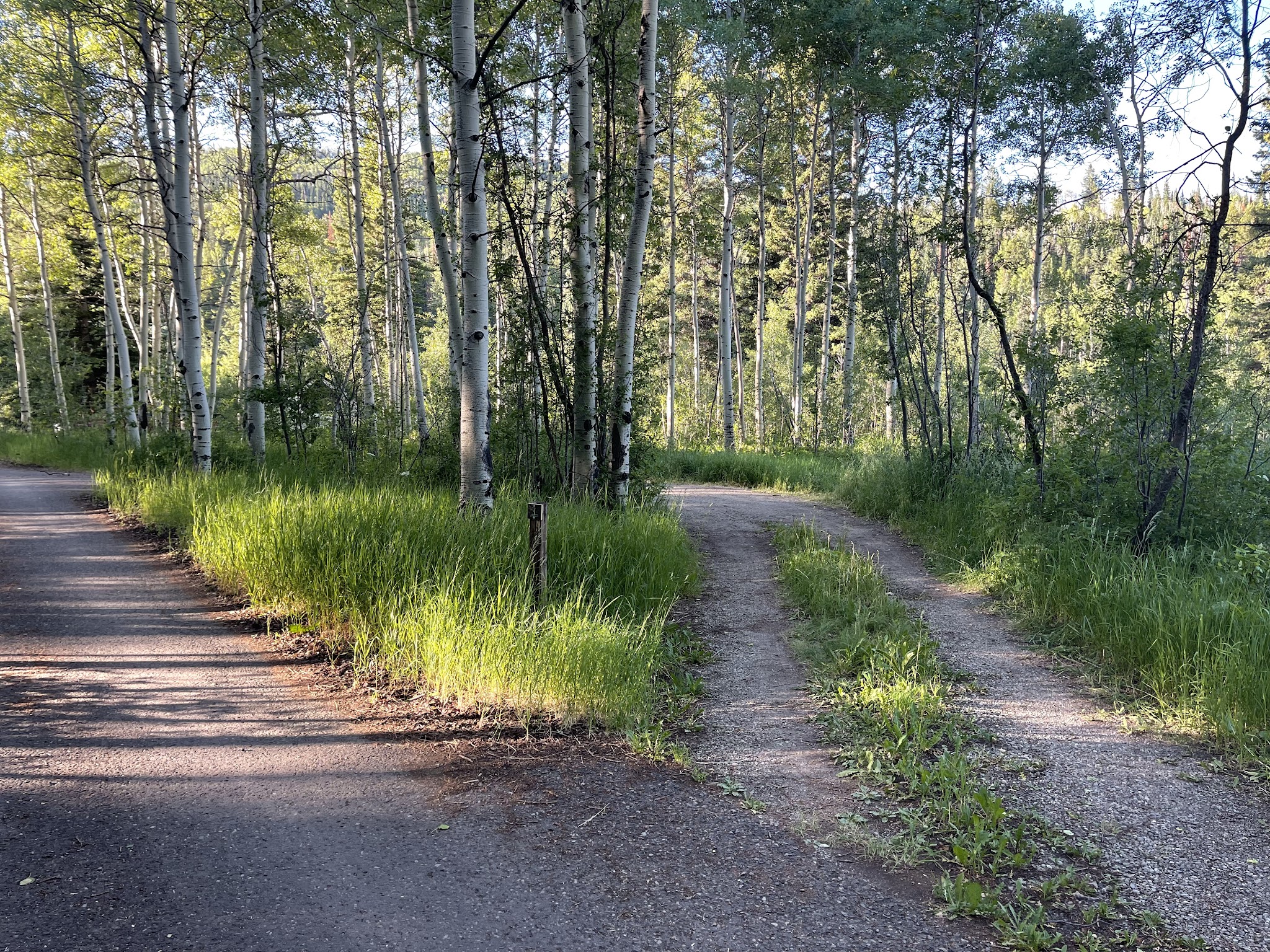 Mcclure Campground - Paonia Rd