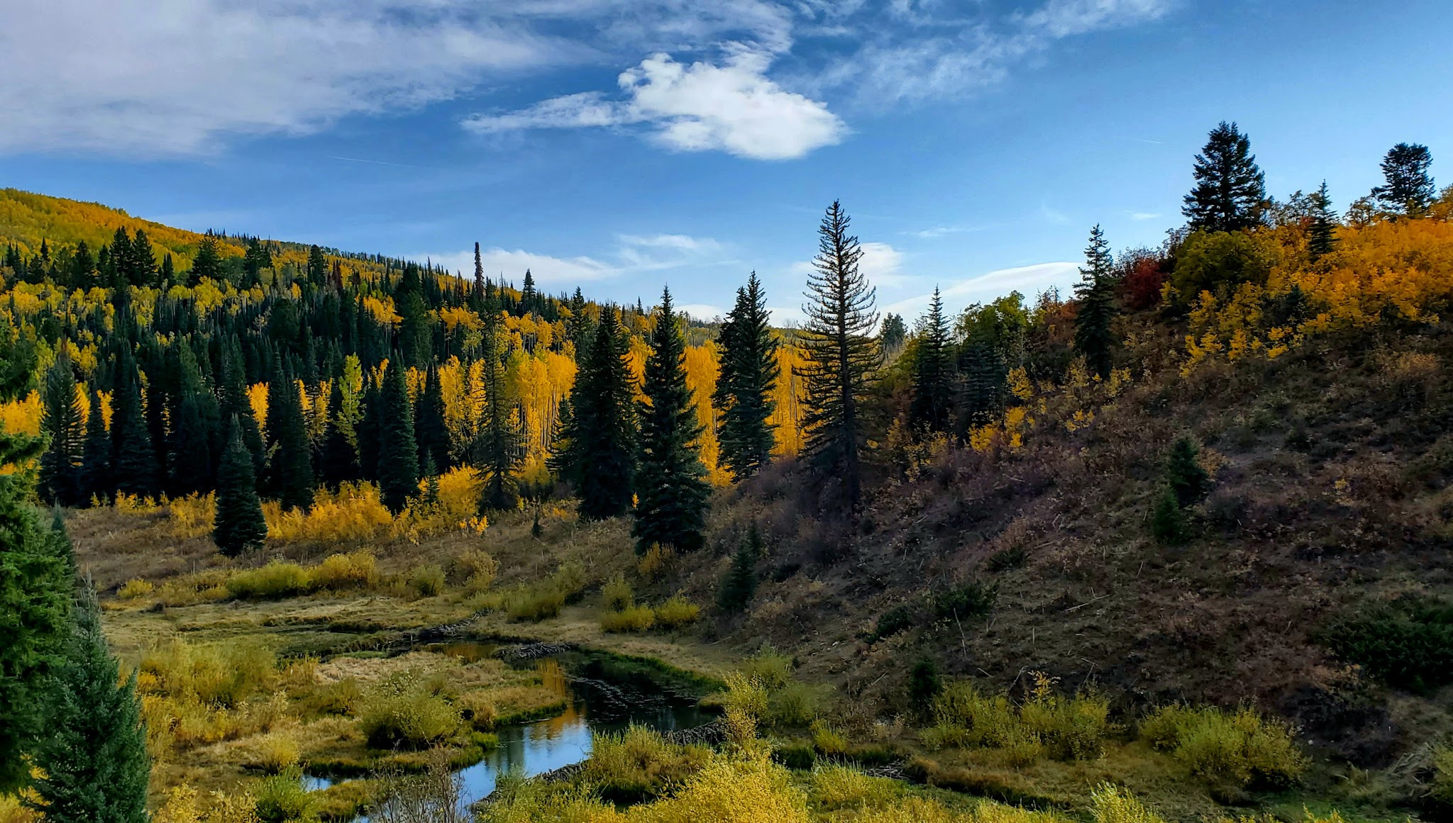 Mcclure Campground - Paonia Rd