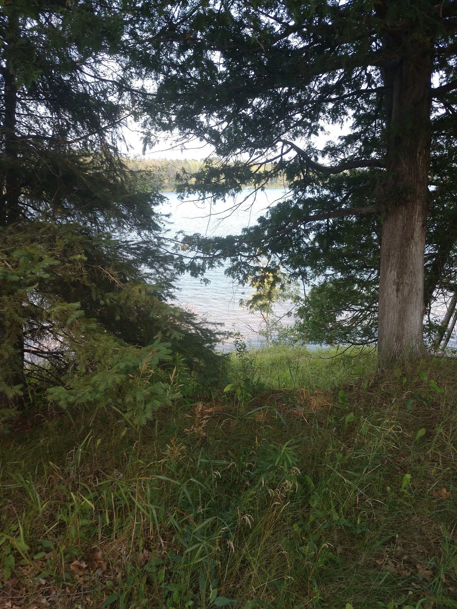 Mccollum Lake State Forest Campground