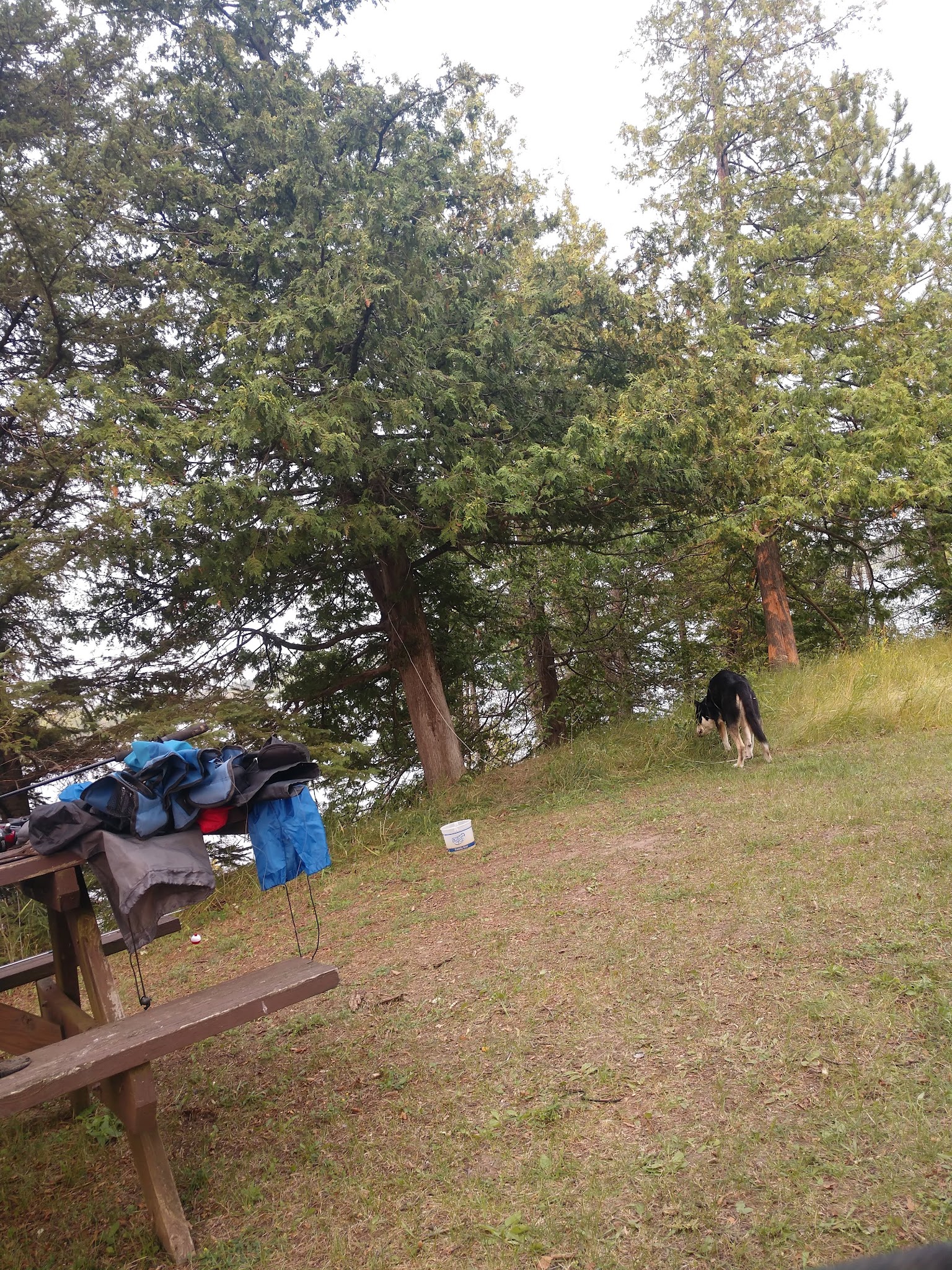 Mccollum Lake State Forest Campground