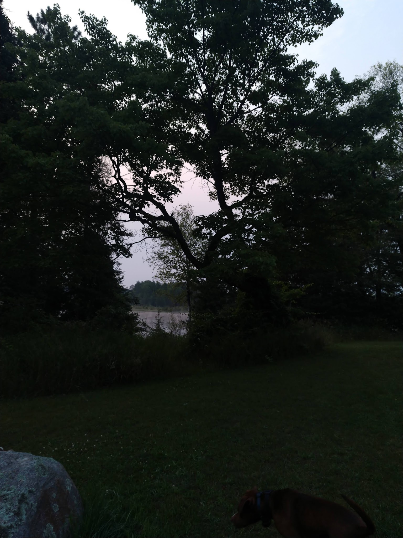 Mccollum Lake State Forest Campground