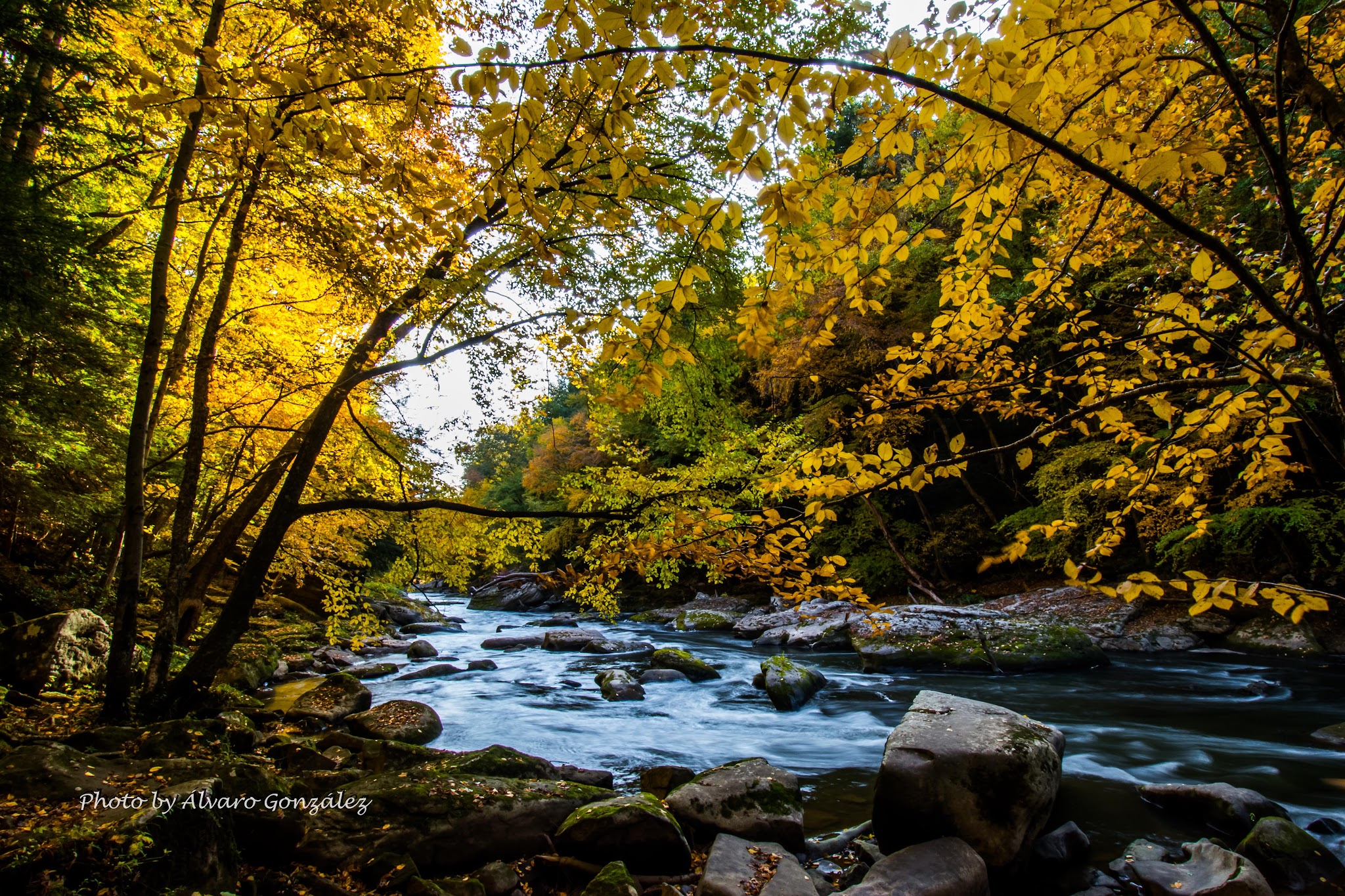 Mcconnells Mill State Park