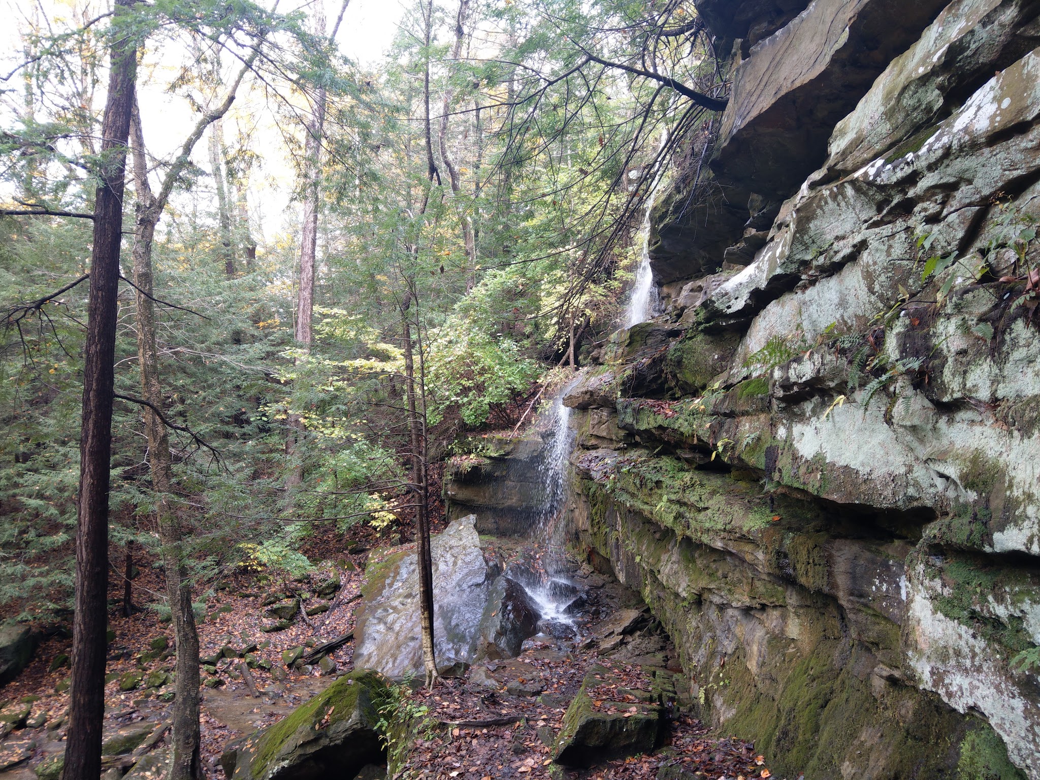 Mcconnells Mill State Park