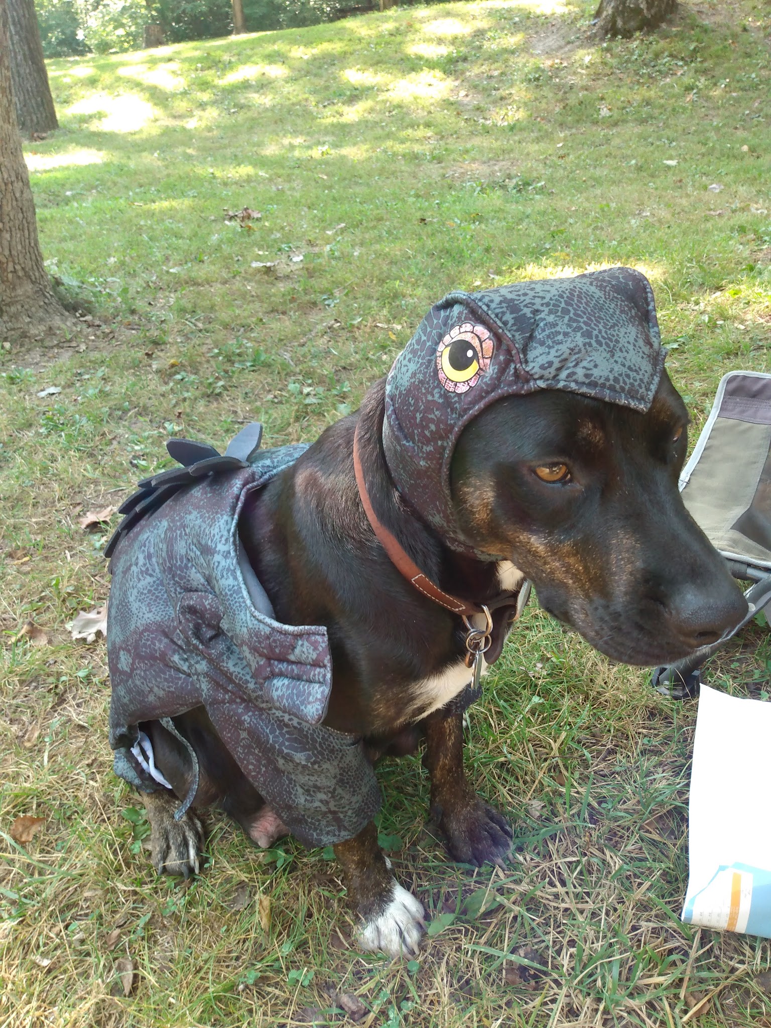 Mccormack Lake Recreation Area