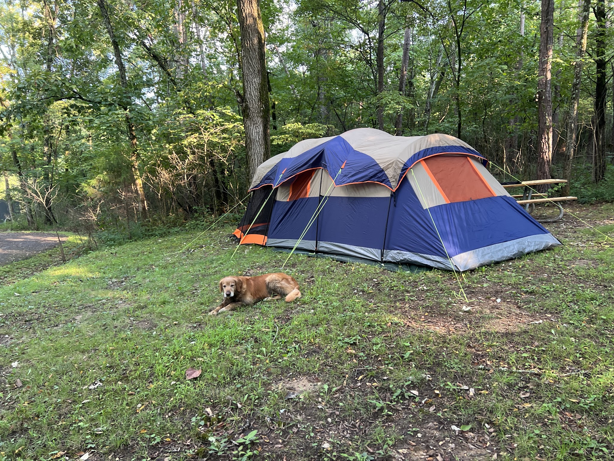 Mccormack Lake Recreation Area