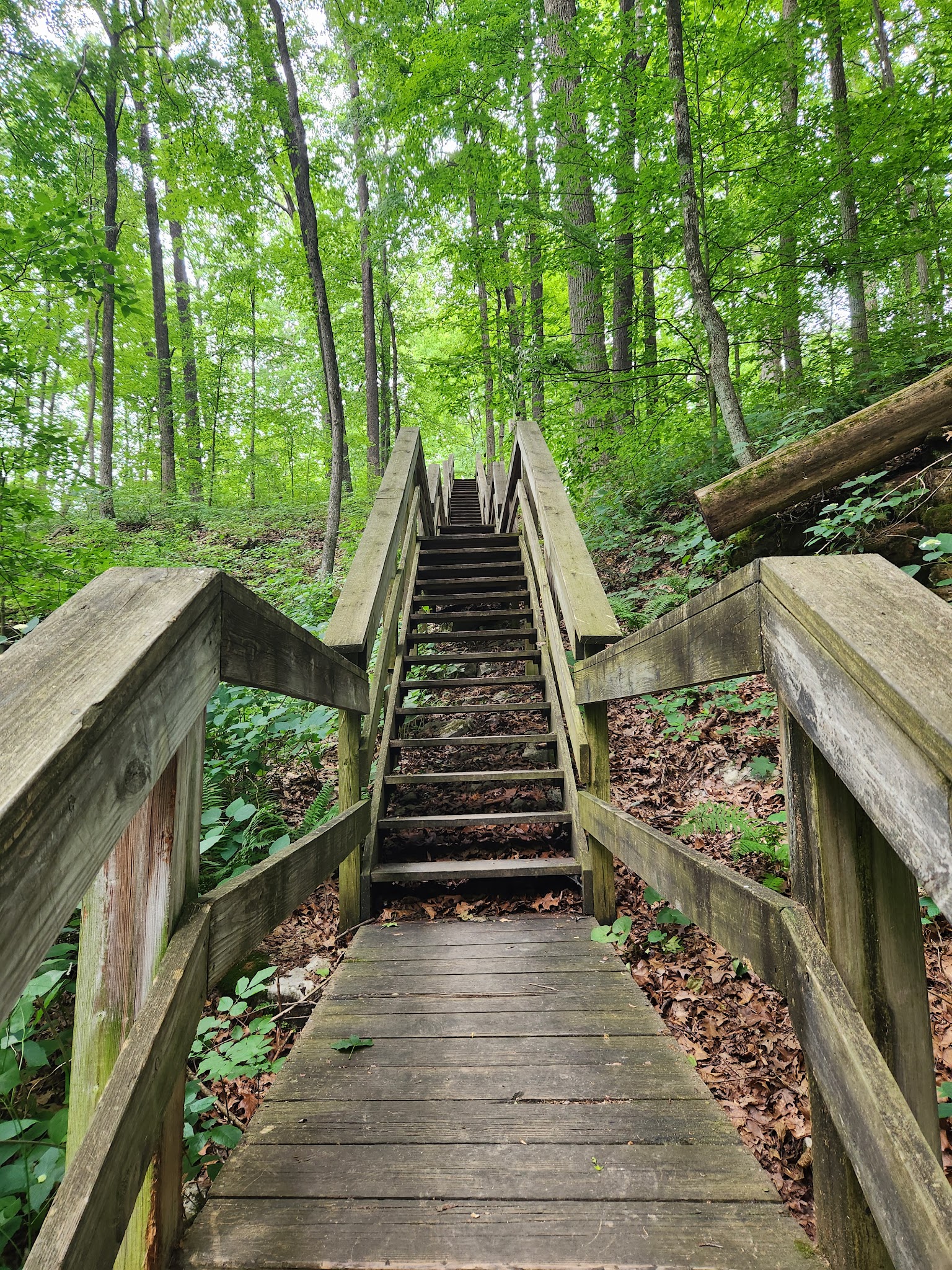 Mccormicks Creek State Park