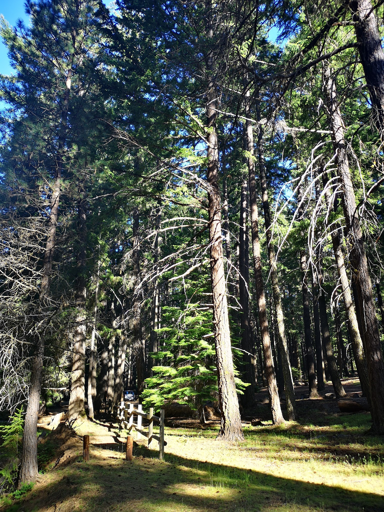 Mccubbins Gulch Campground & Day Use