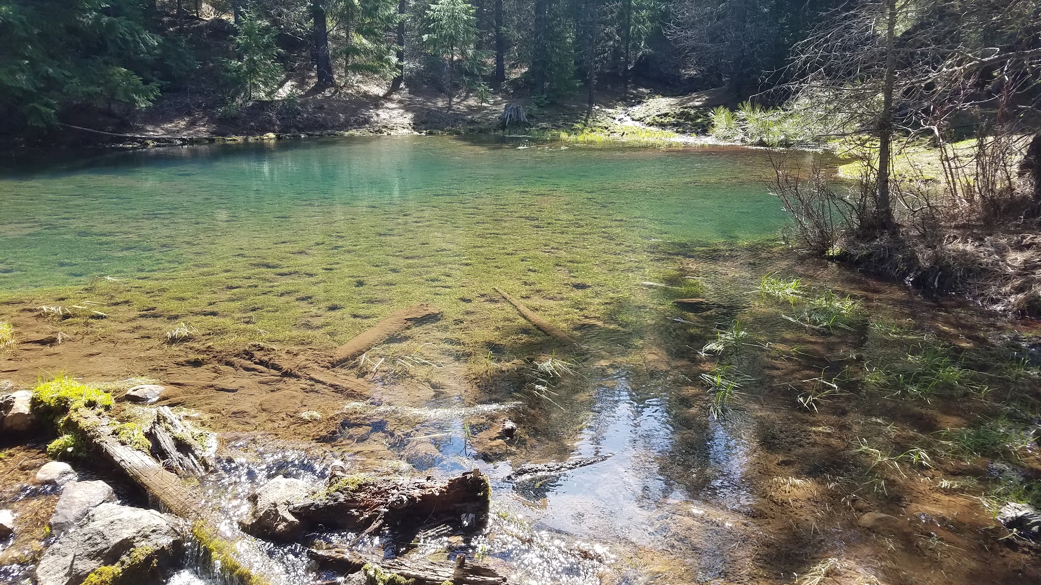 Mccubbins Gulch Campground & Day Use