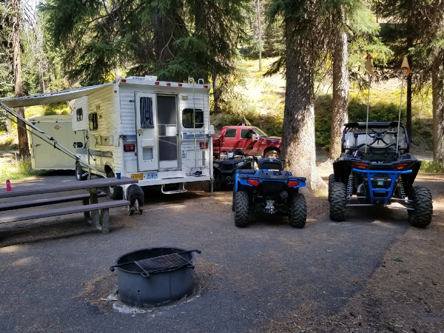 Mccully Forks Campground