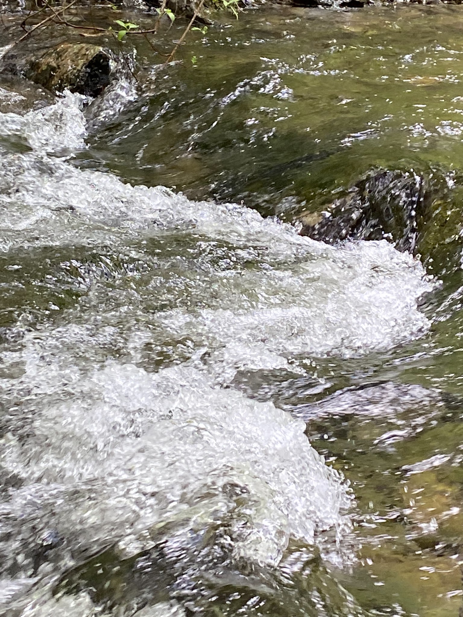 Mccully Forks Campground