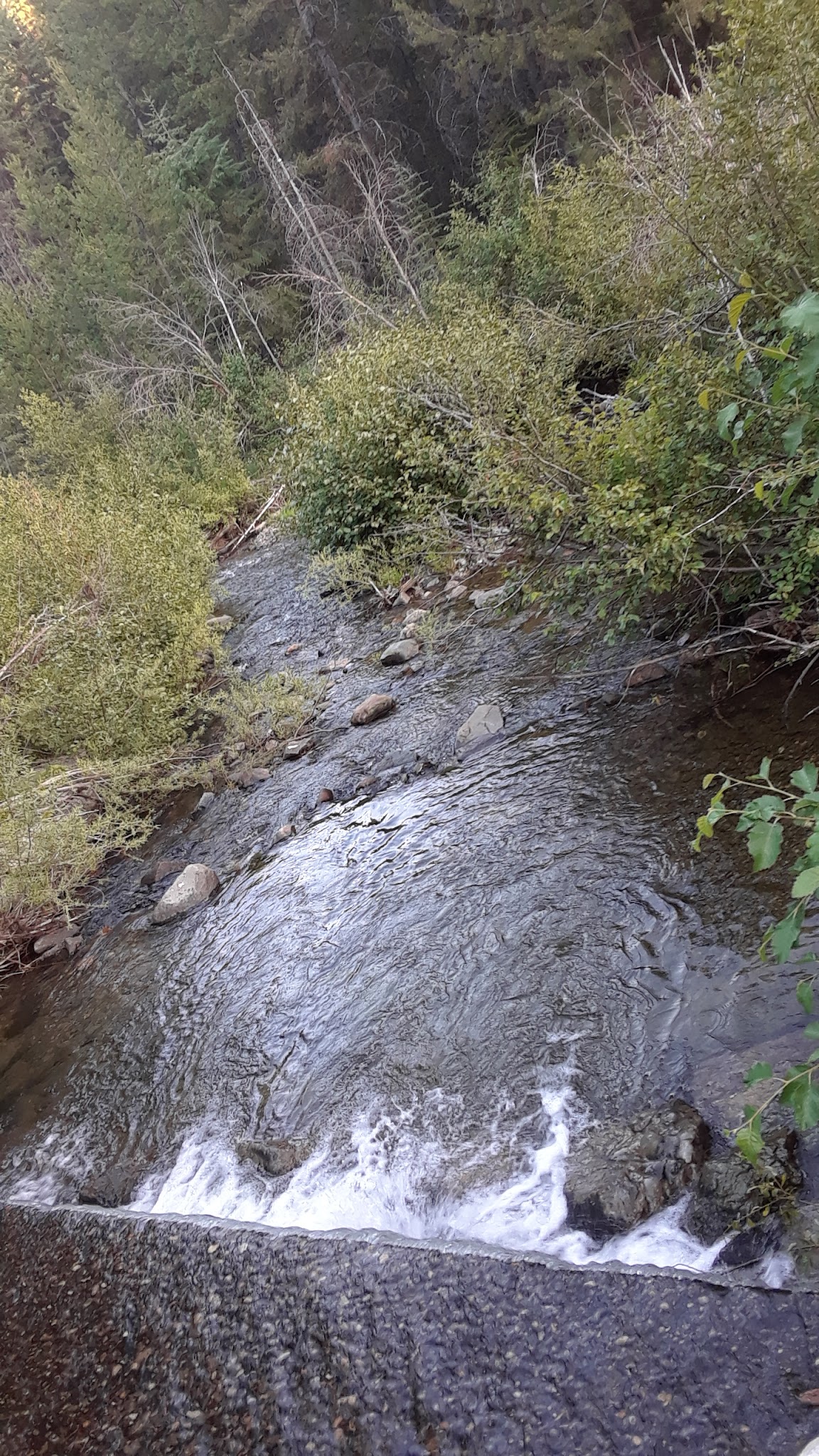 Mccully Forks Campground