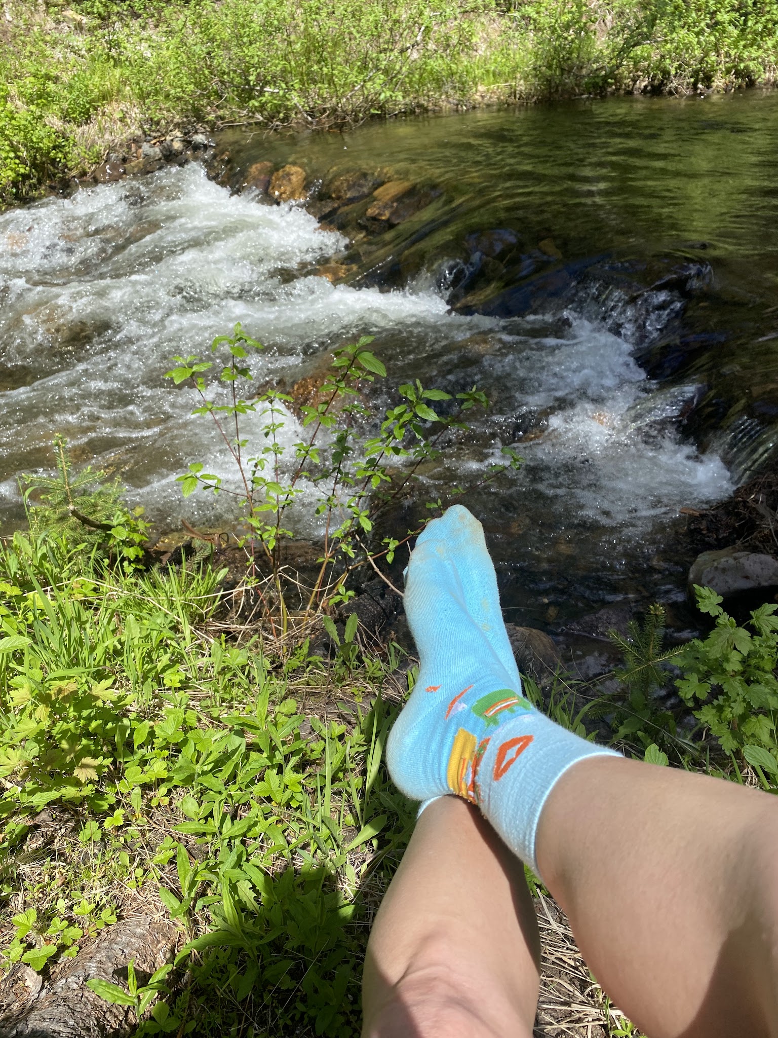 Mccully Forks Campground