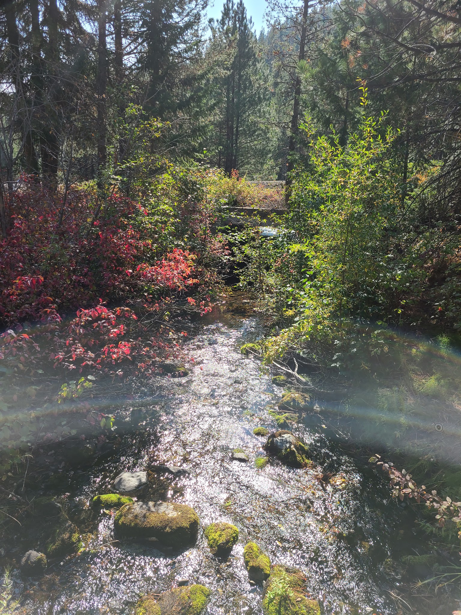 Mccully Forks Campground