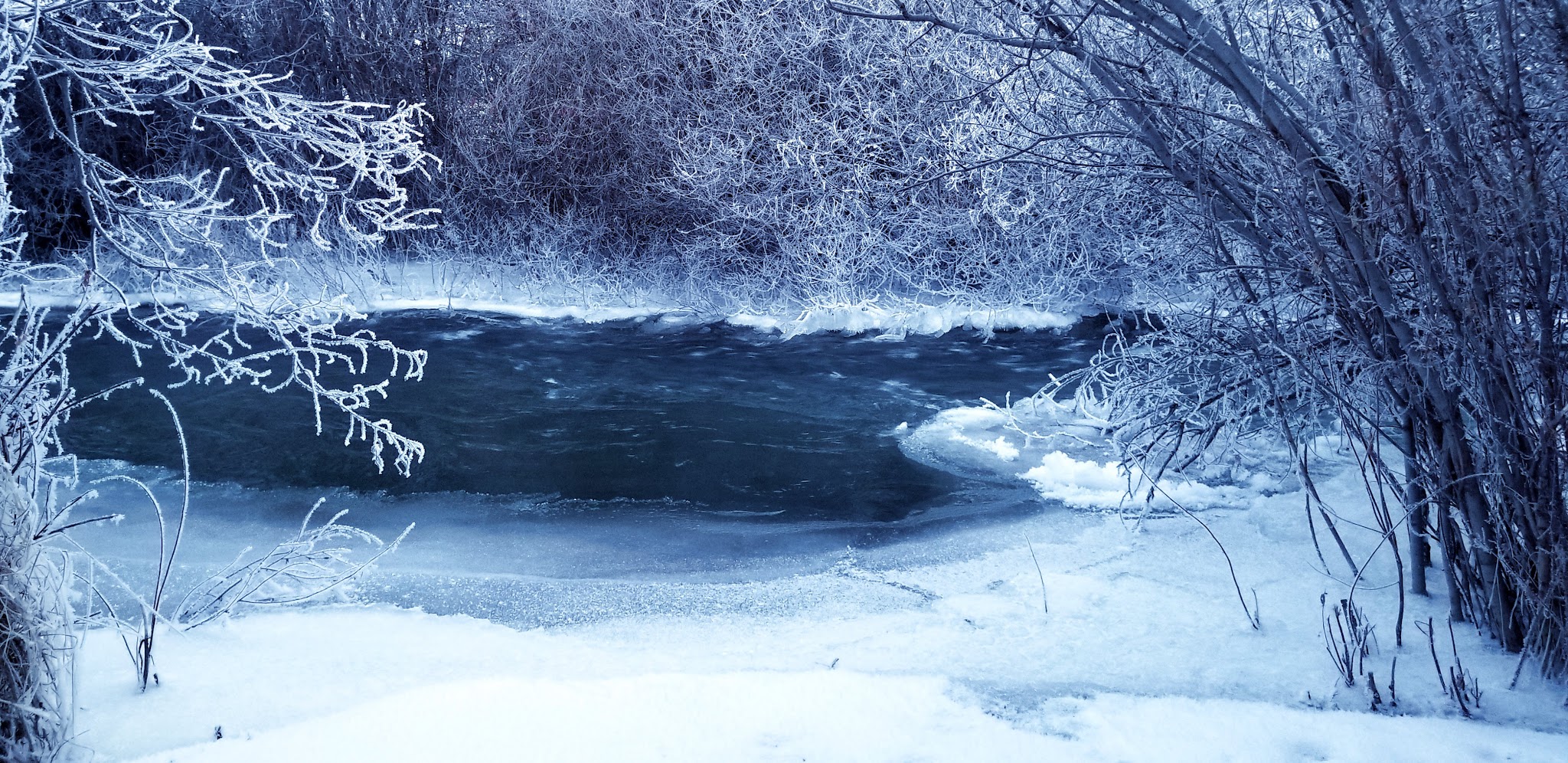 Mcfarland Campground