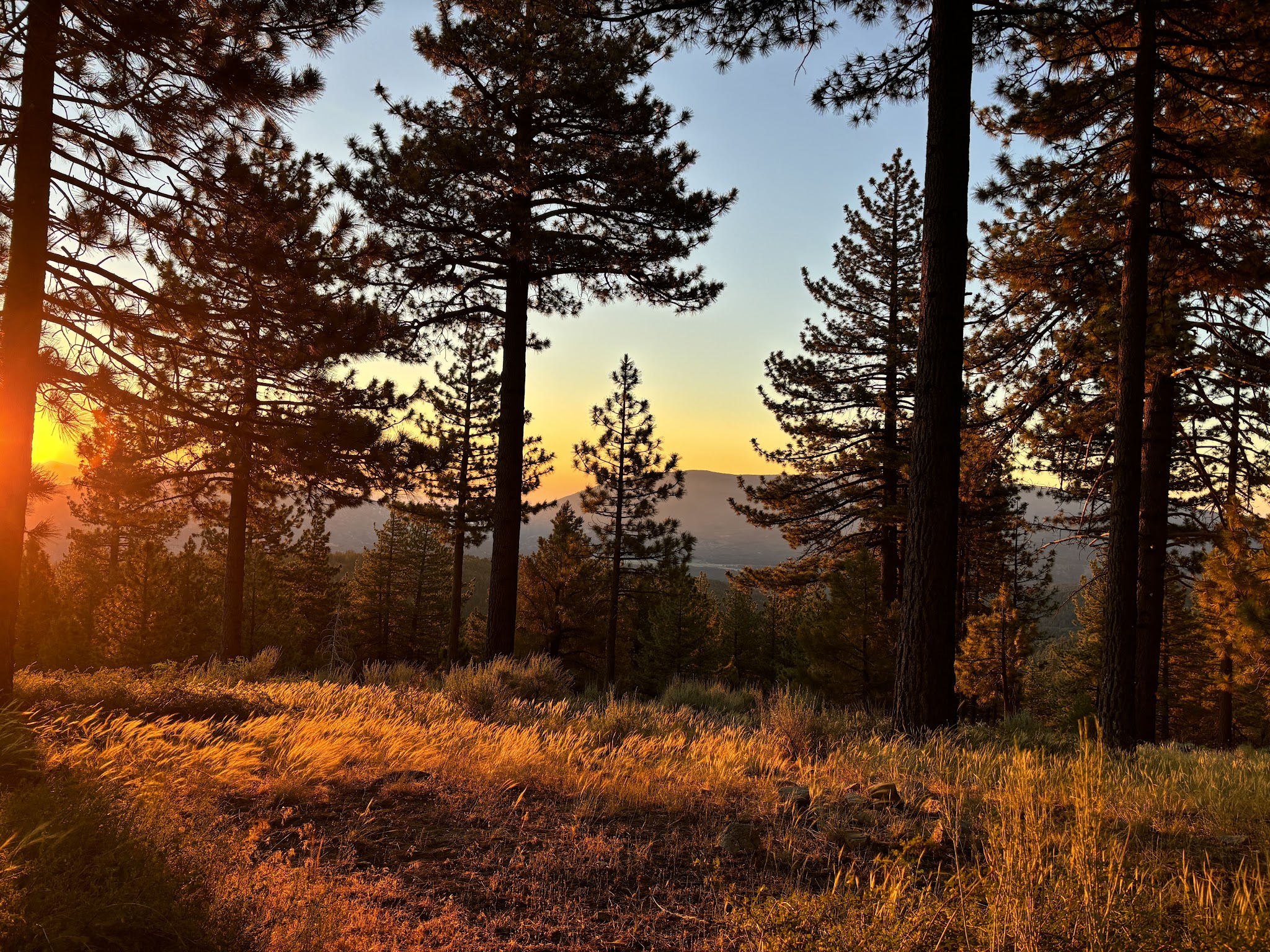 Mcgill Campground And Group Campground