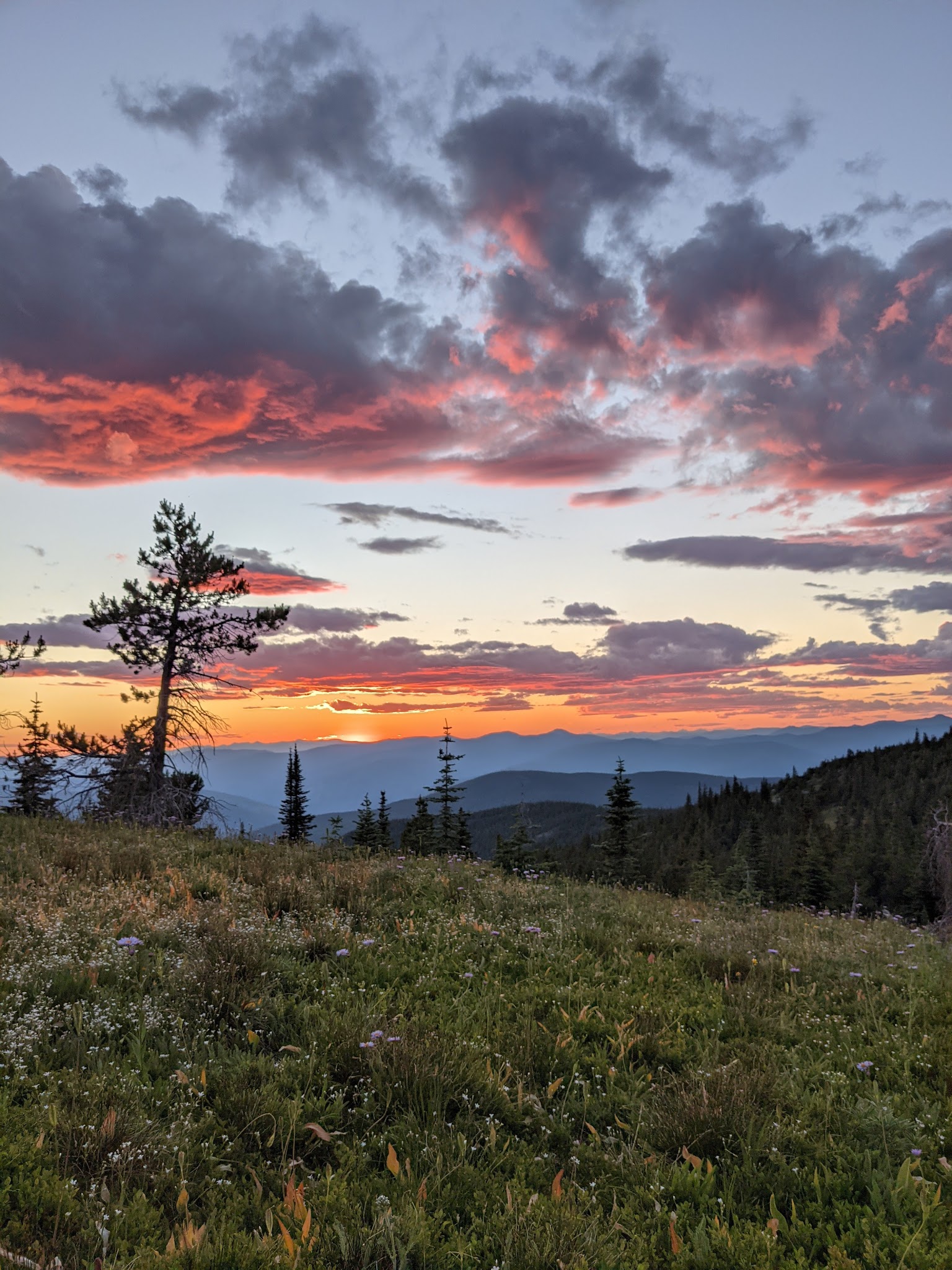 Mcguire Mtn. Lookout Rental
