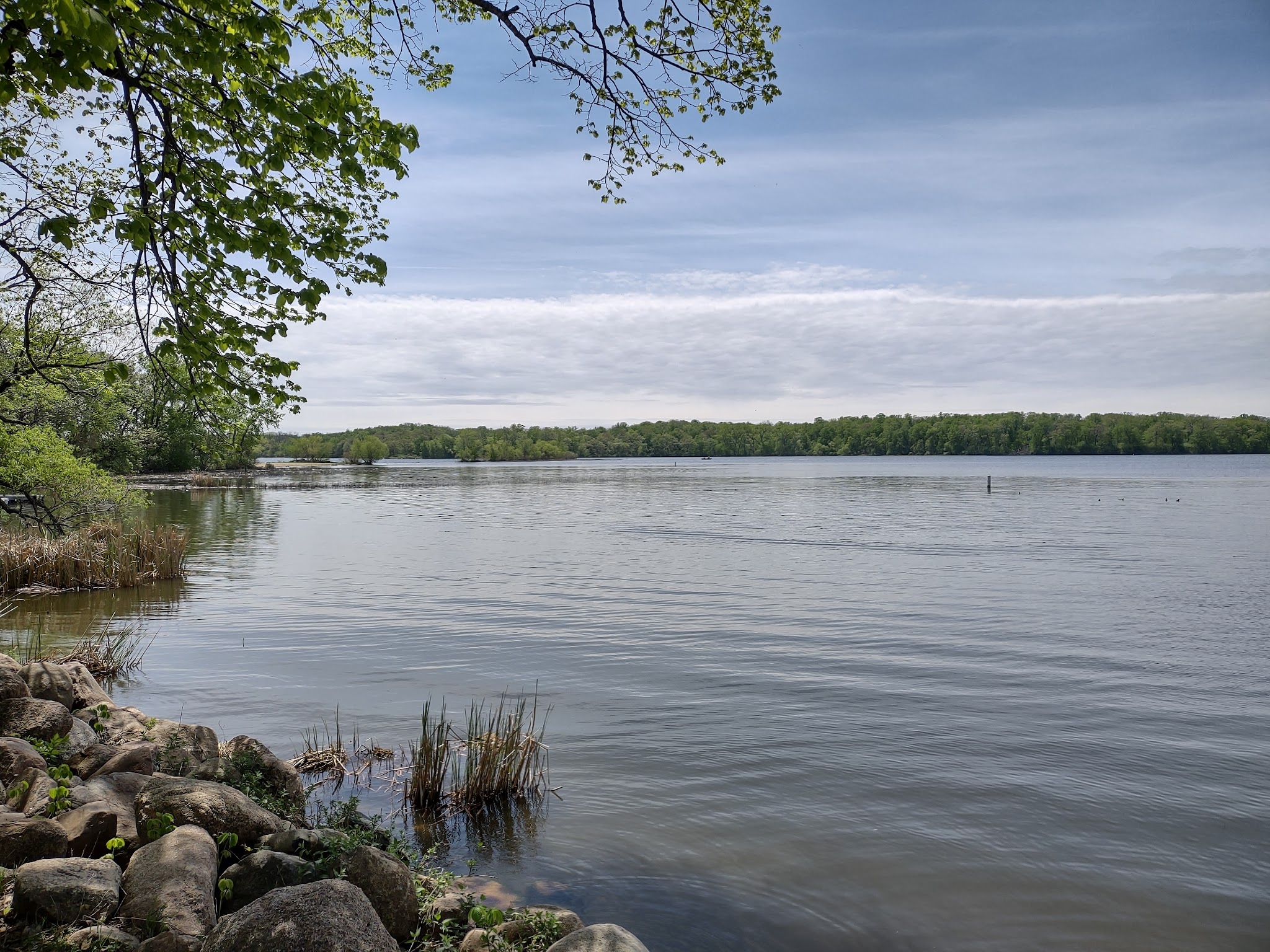 Mcintosh Woods State Park