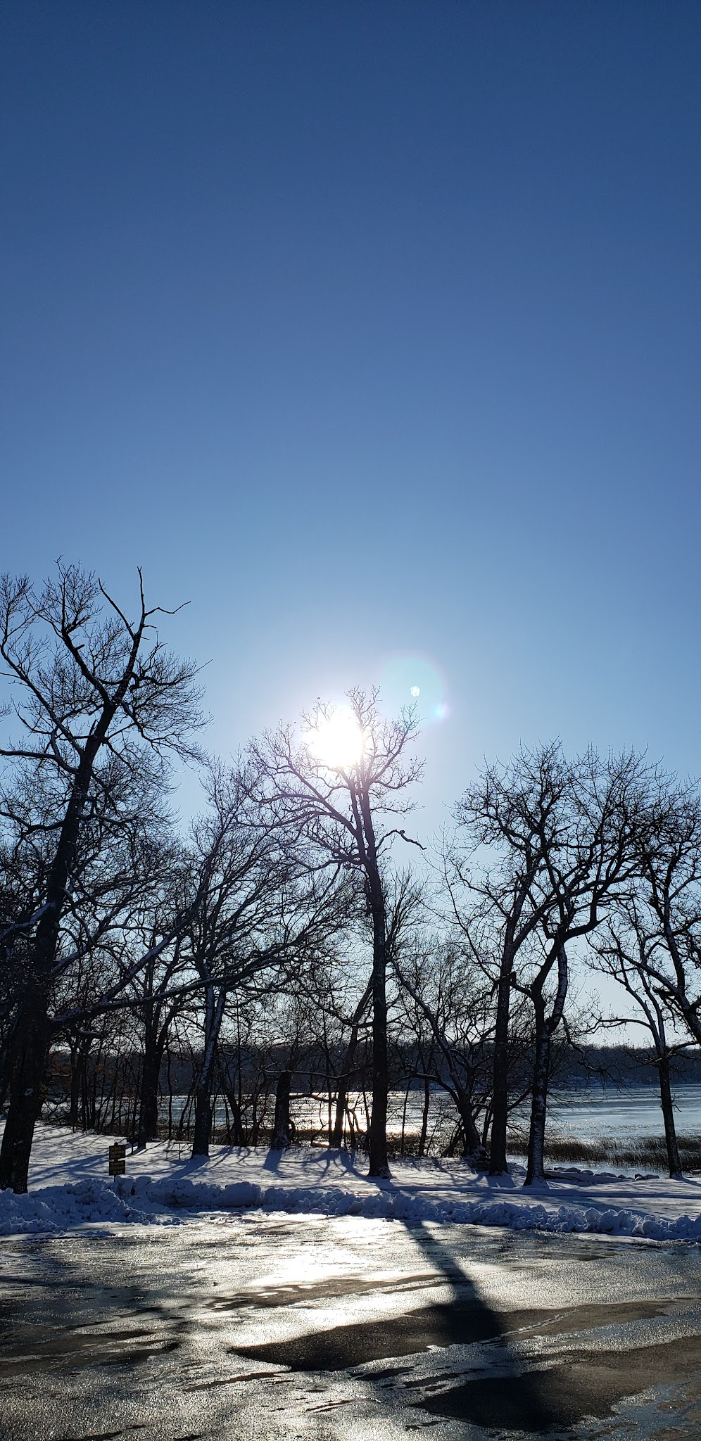 Mcintosh Woods State Park