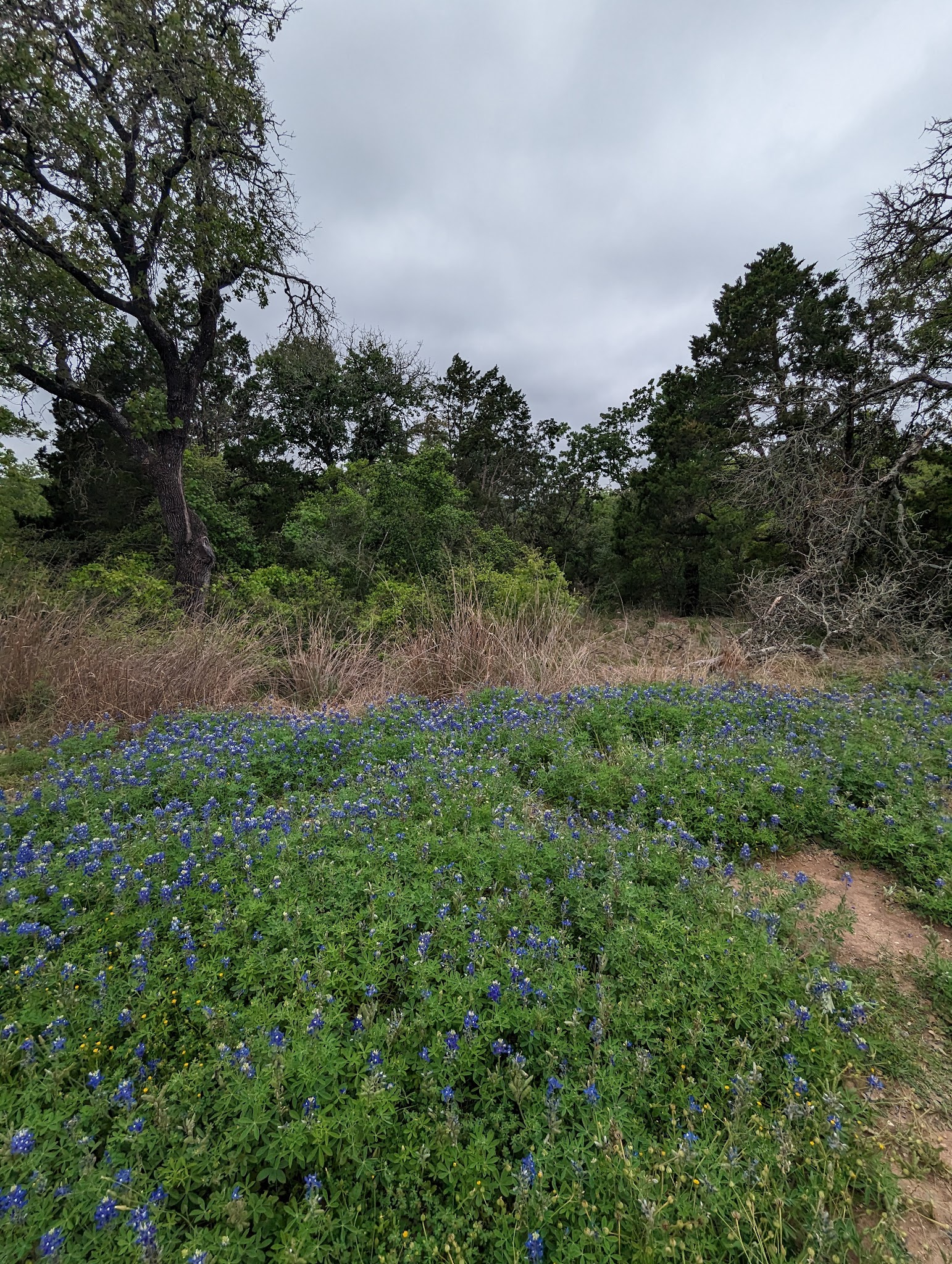 Mckinney Roughs Nature Park