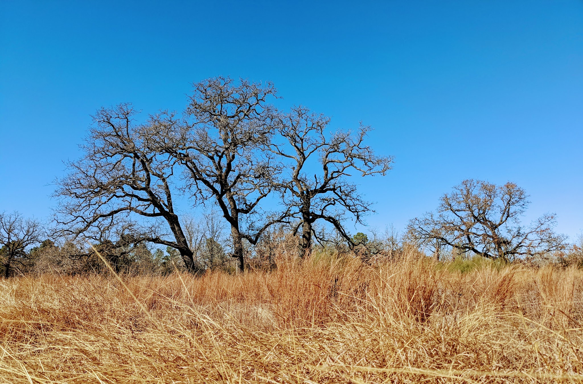 Mckinney Roughs Nature Park