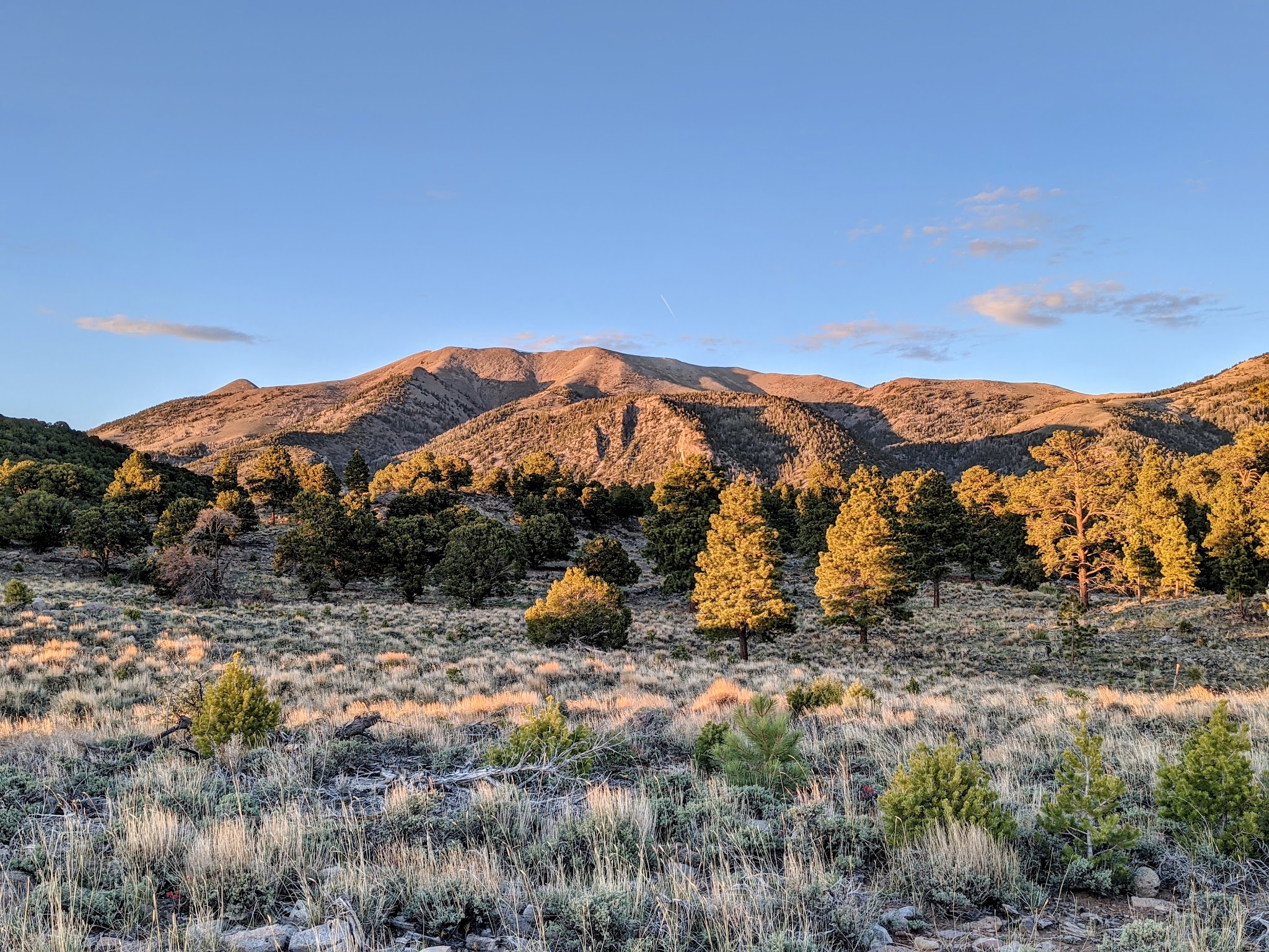 Mcmillan Spring Campground