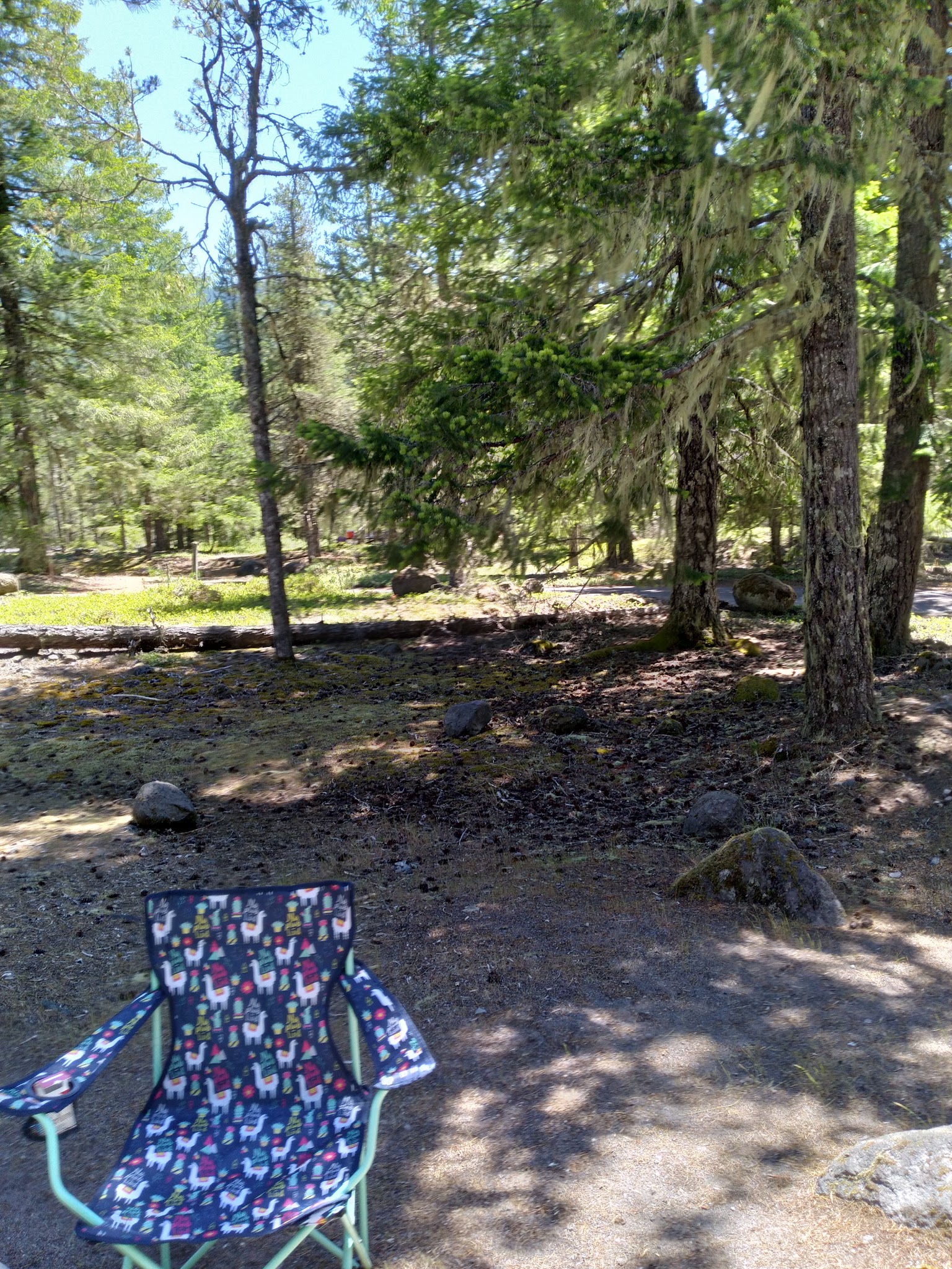 Mcneil Campground