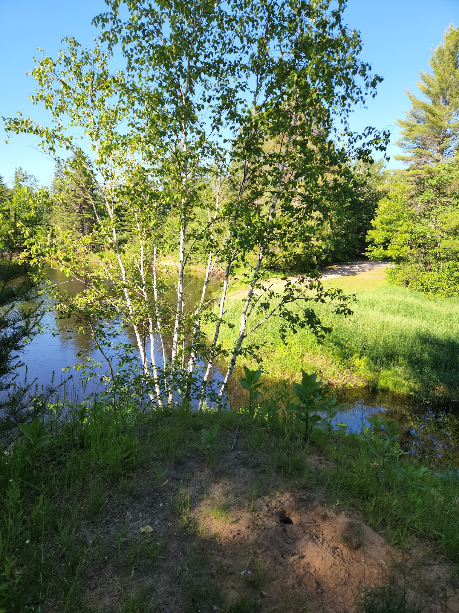 Mead Creek State Forest Campground