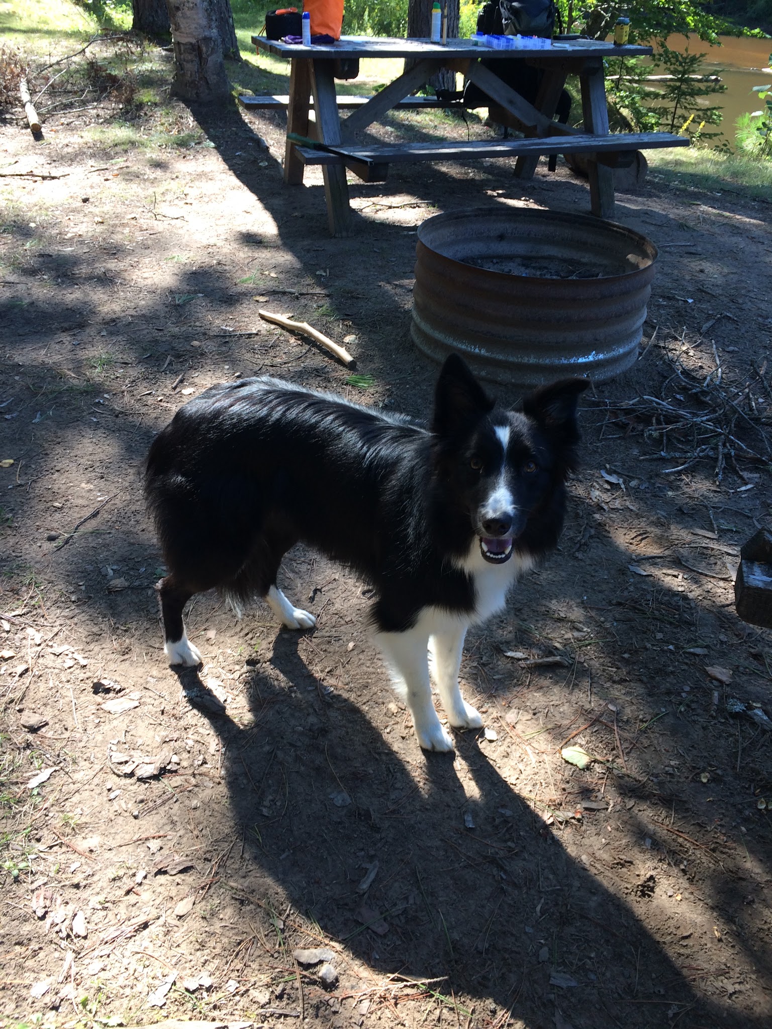 Mead Creek State Forest Campground