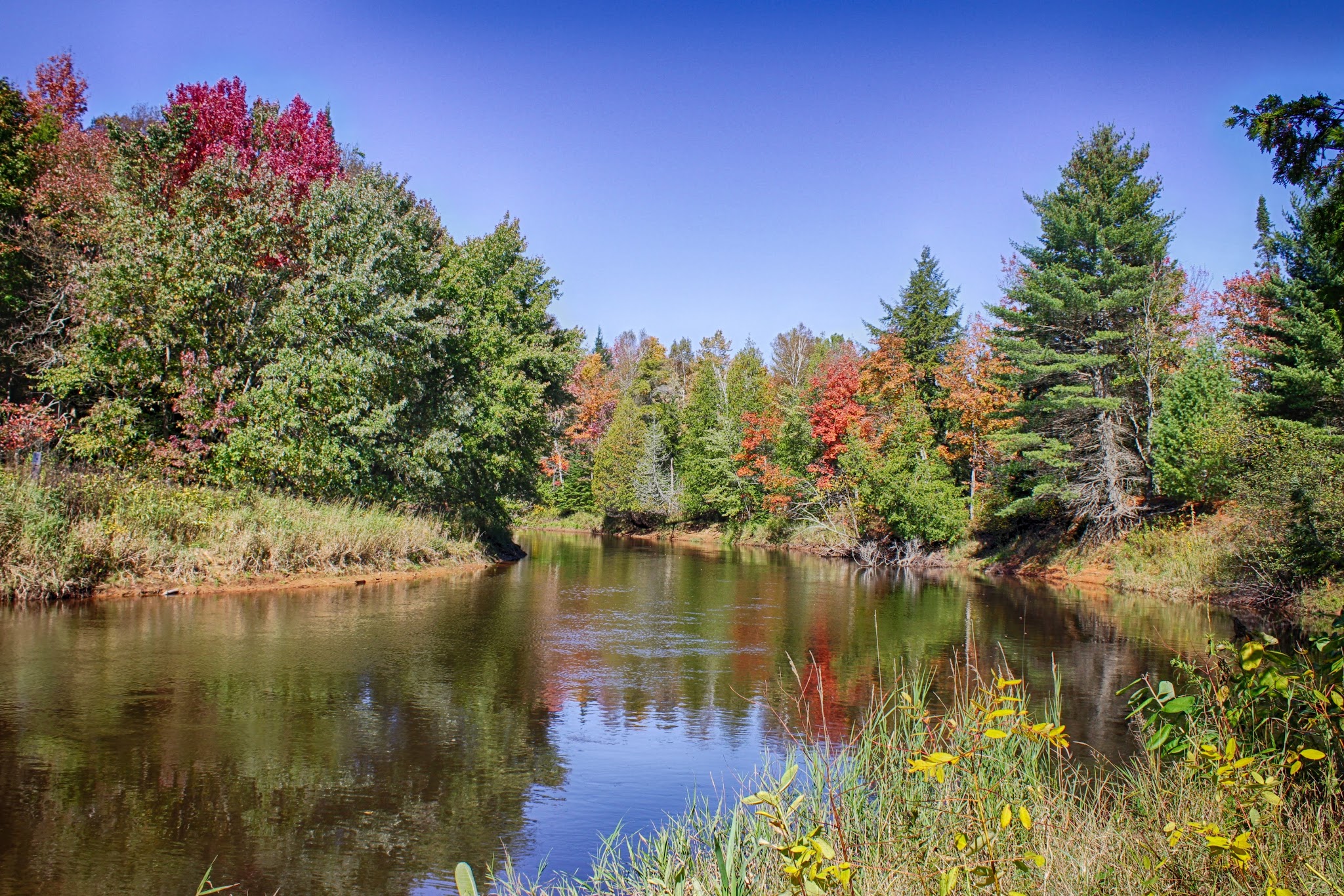 Mead Creek State Forest Campground