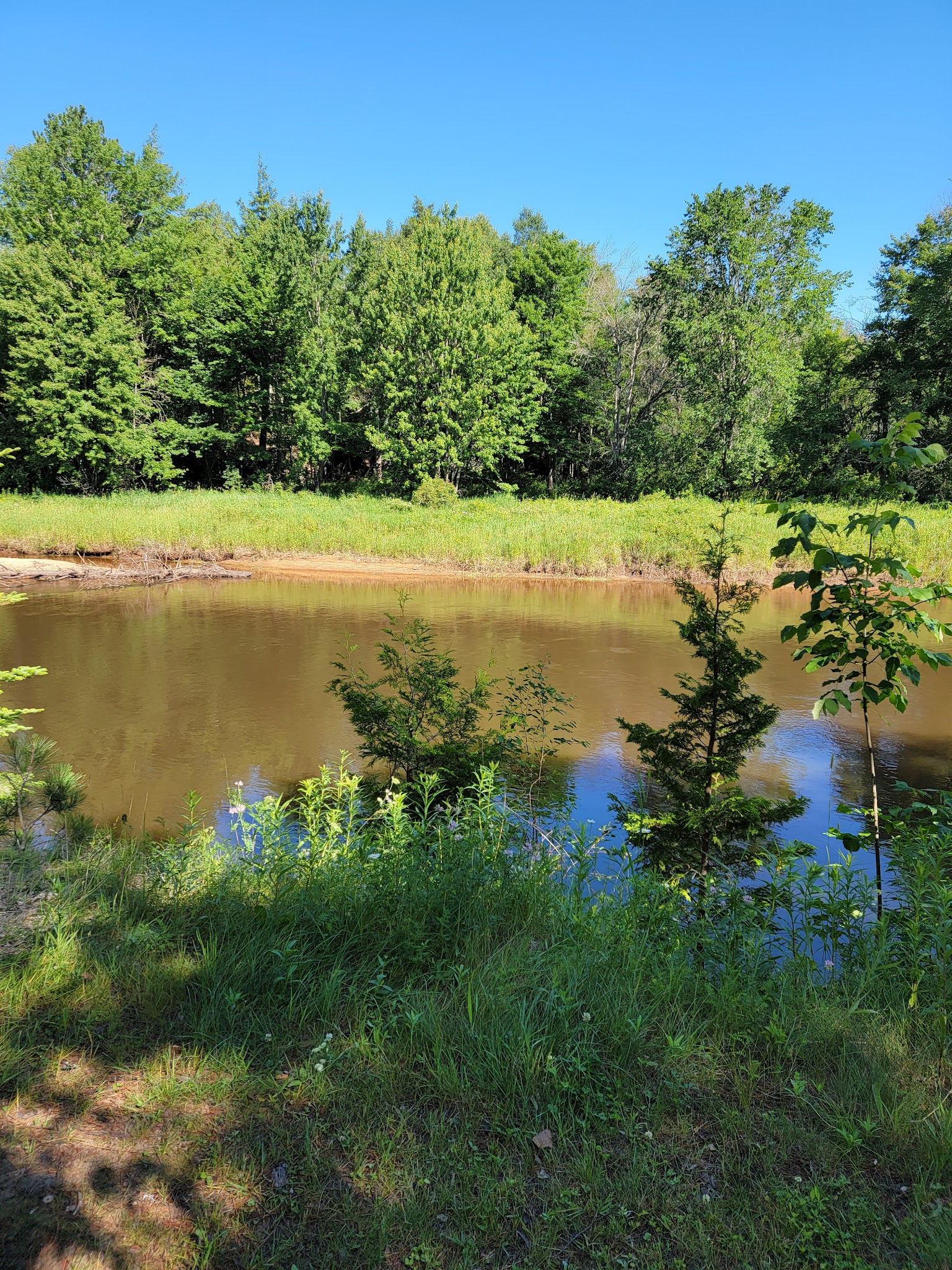 Mead Creek State Forest Campground